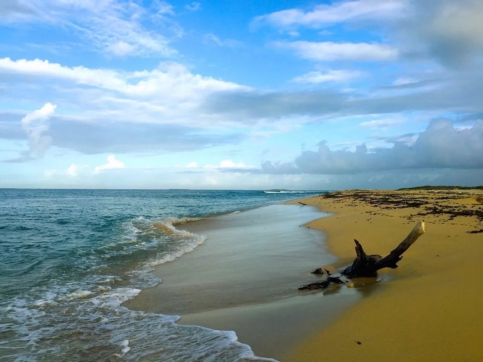 Exploring Cayos 7 Hermanos 🏝️☀️, image 4 of 5