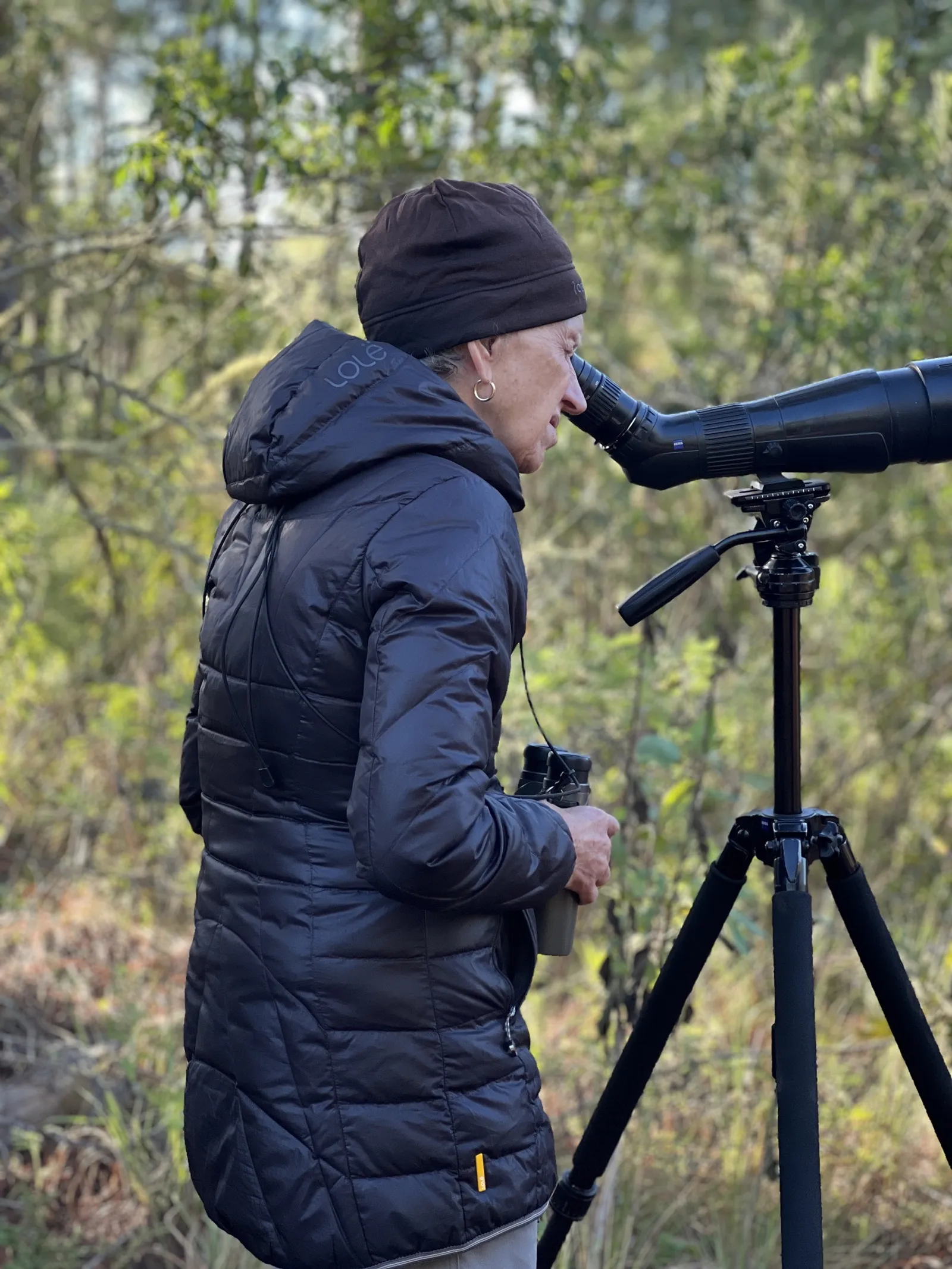 Birdwatching in the Dominican Republic: A Unique Nature Experience, image 33 of 39
