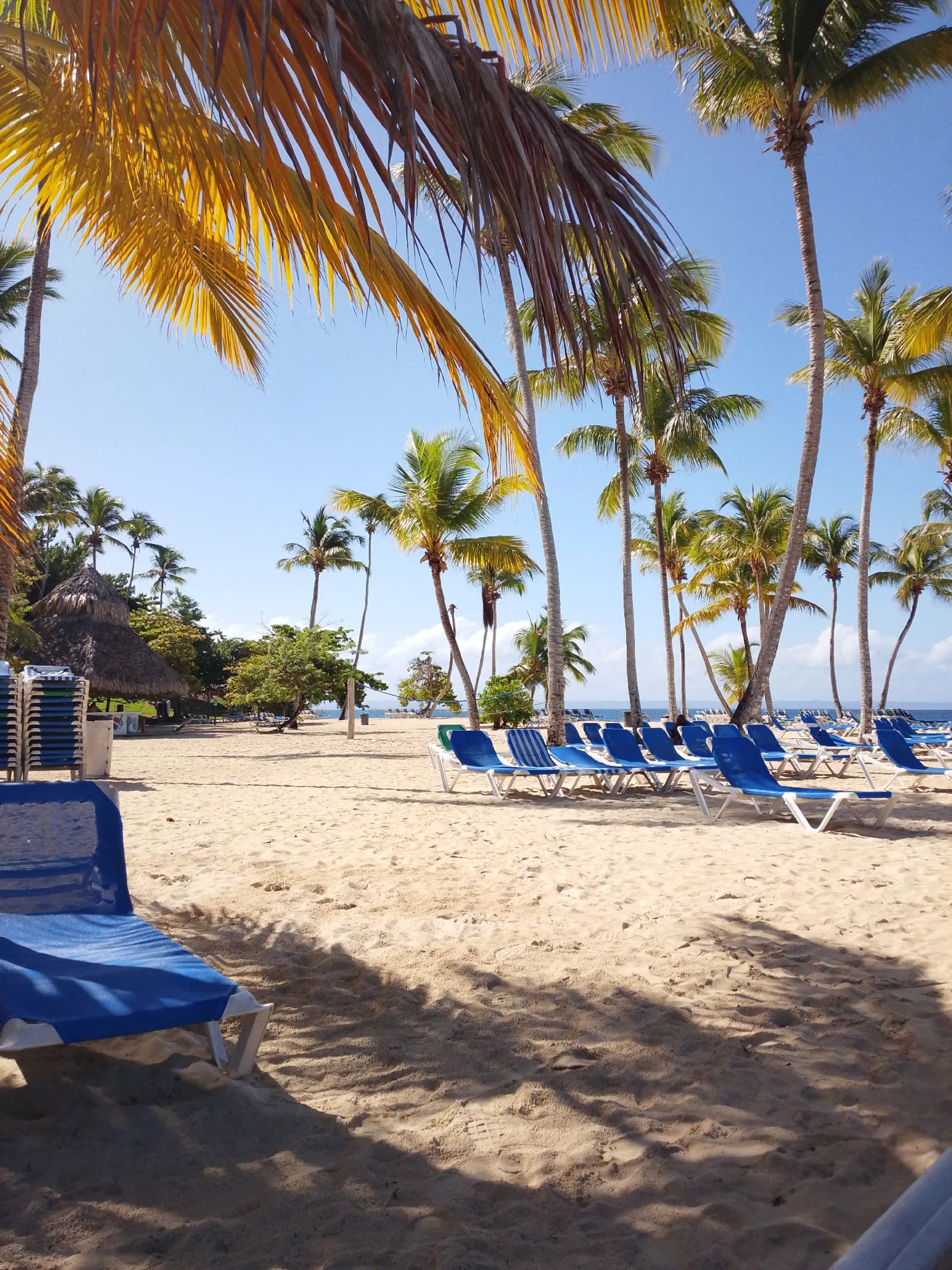 Los Haitises National Park and Cayo Levantado, image 14 of 15