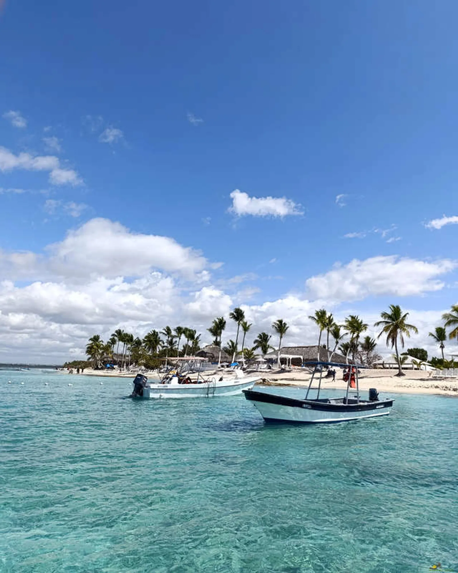 Isla Catalina, image 7 of 11
