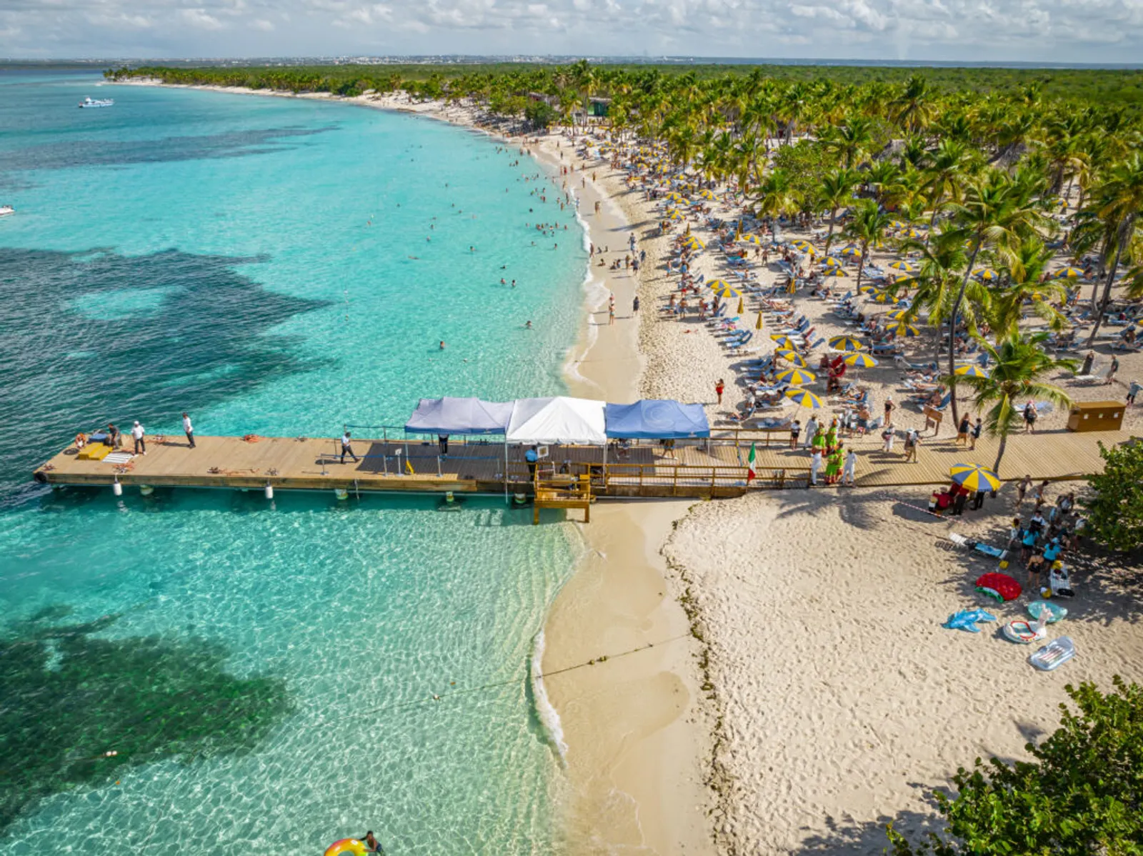 Isla Catalina, image 8 of 11