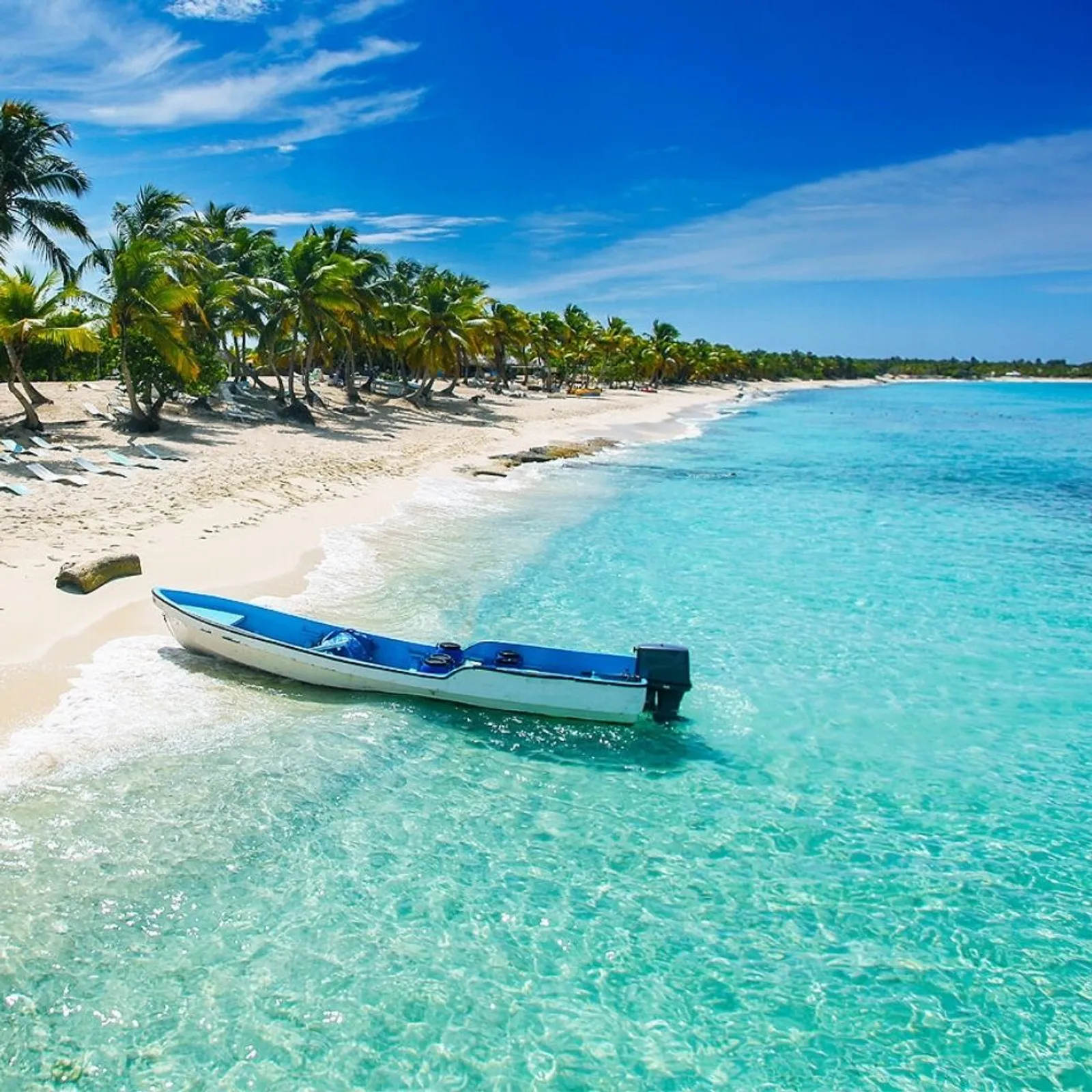 Isla Catalina, image 2 of 11
