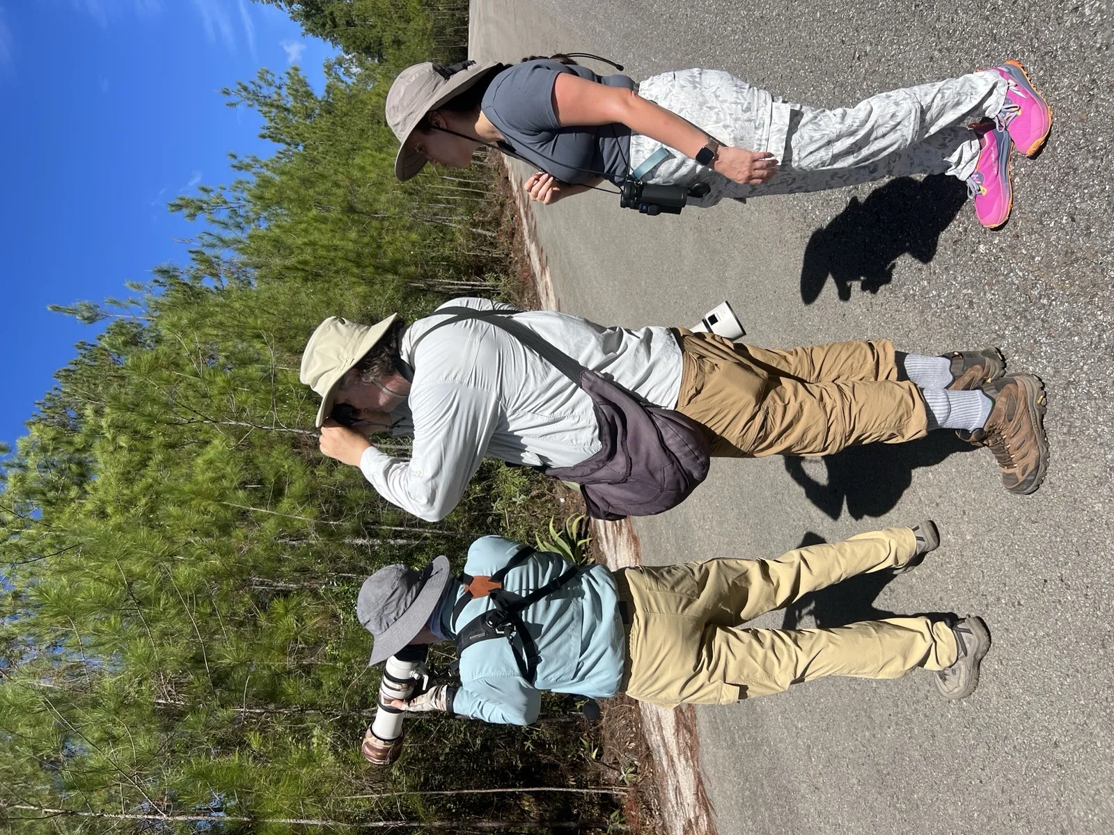Birdwatching in the Dominican Republic: A Unique Nature Experience, image 19 of 39