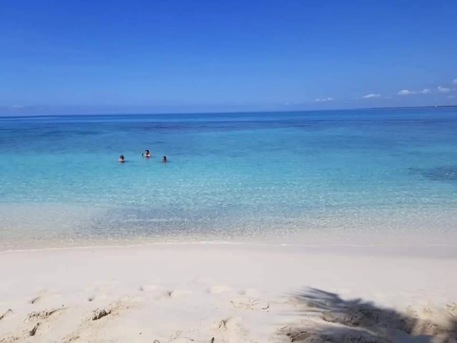 Discover Catalina Island from Bayahibe, image 12 of 16