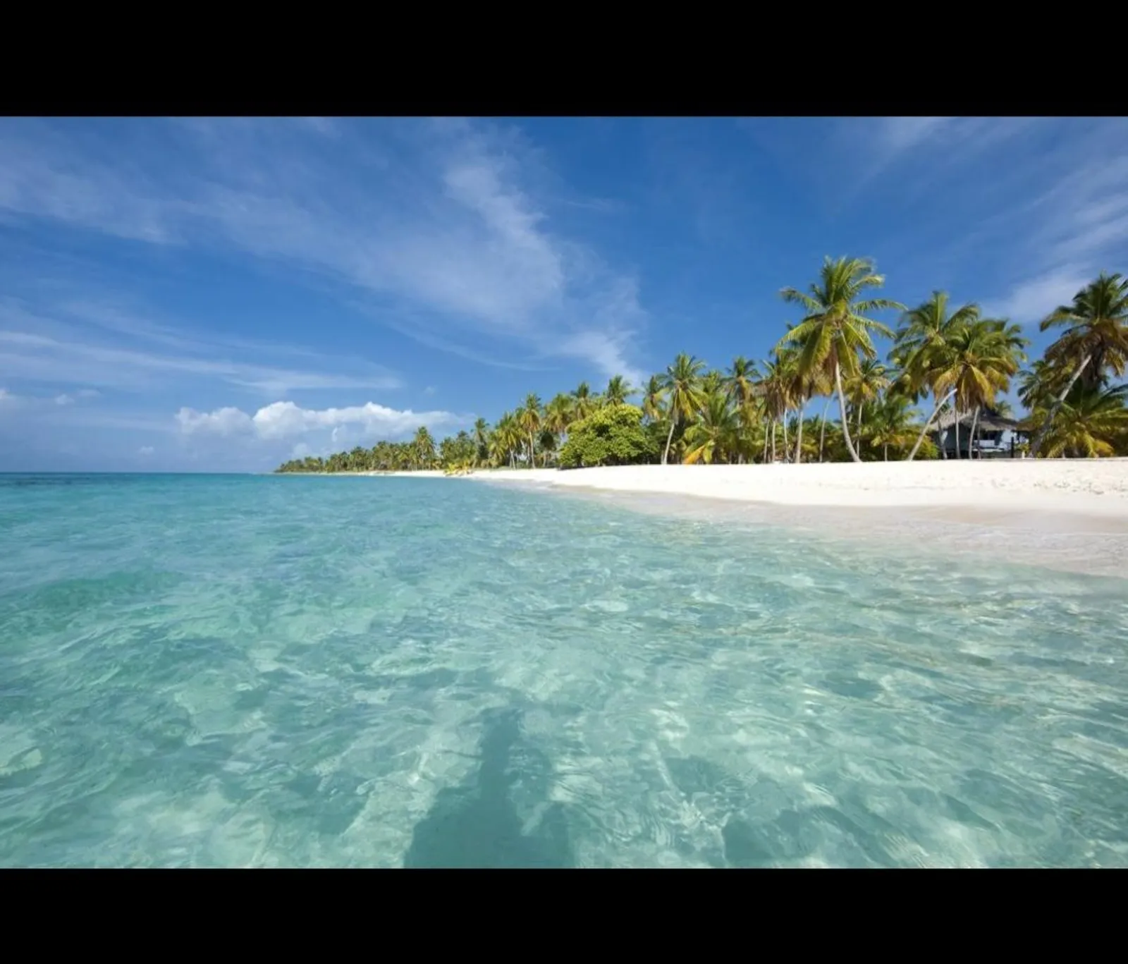 Saona Island Premium, image 5 of 14