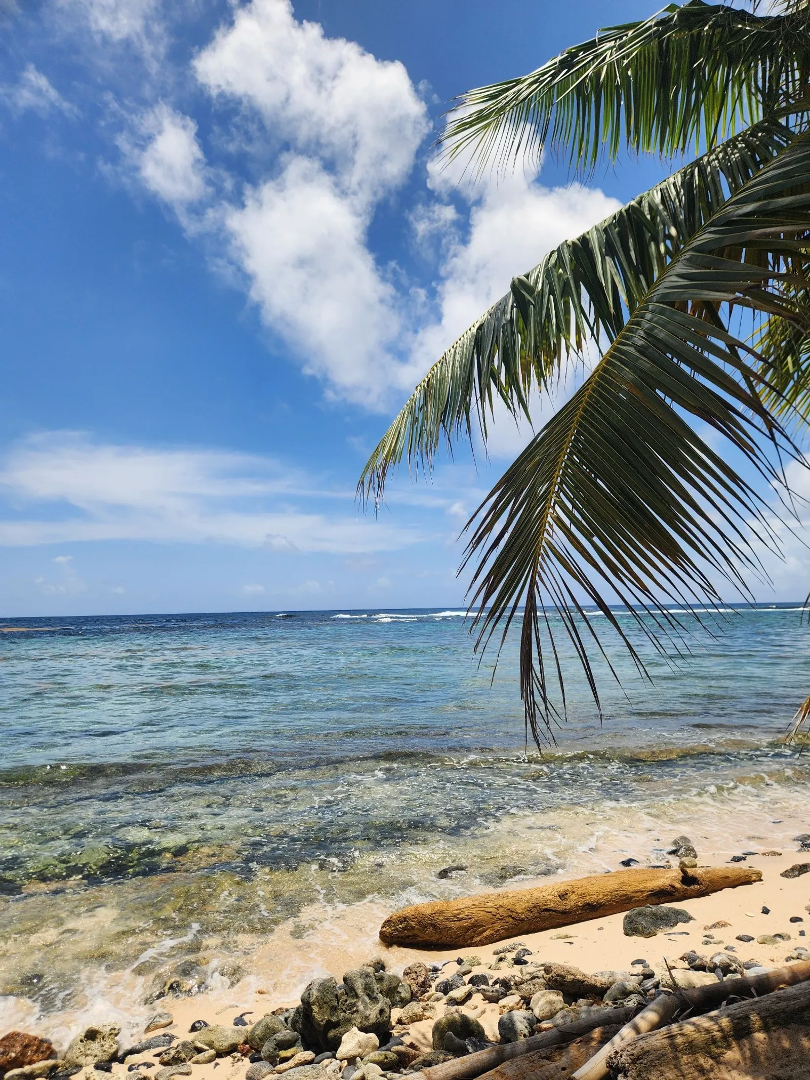 Explore Playa Frontón, Playa Madama, and La Playita in an unforgettable experience, image 8 of 11