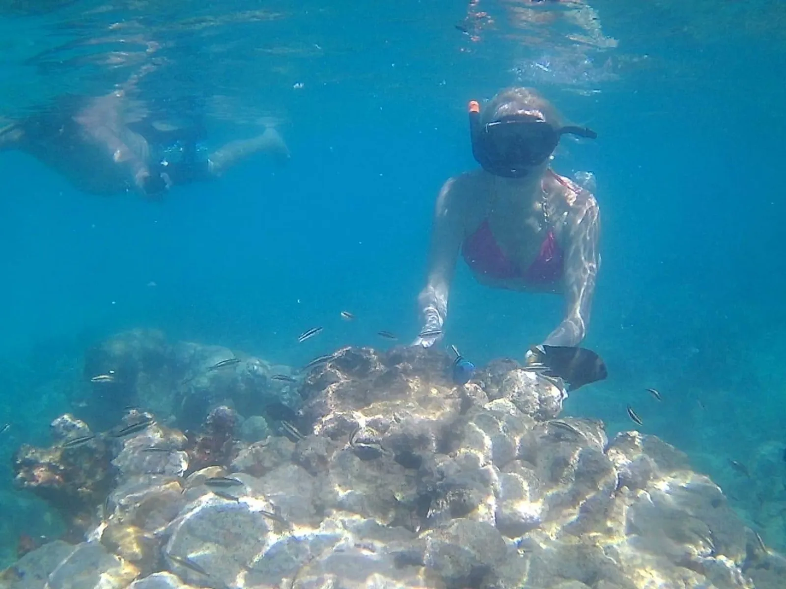 Discover Catalina Island from Bayahibe, image 15 of 16