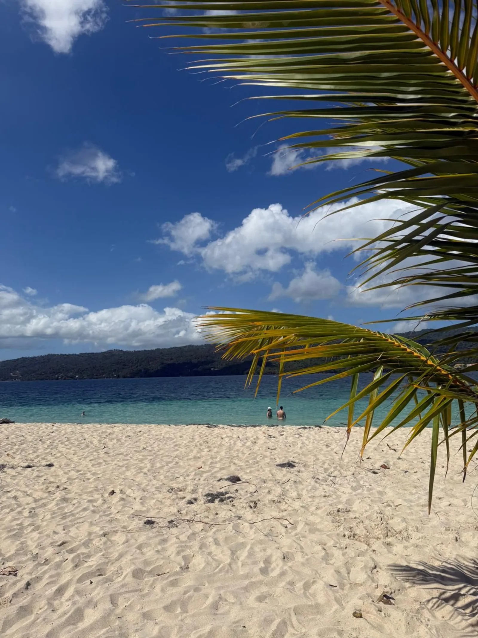 🌴 Cayo Levantado: Escape al Paraíso, imagen 2 de 6