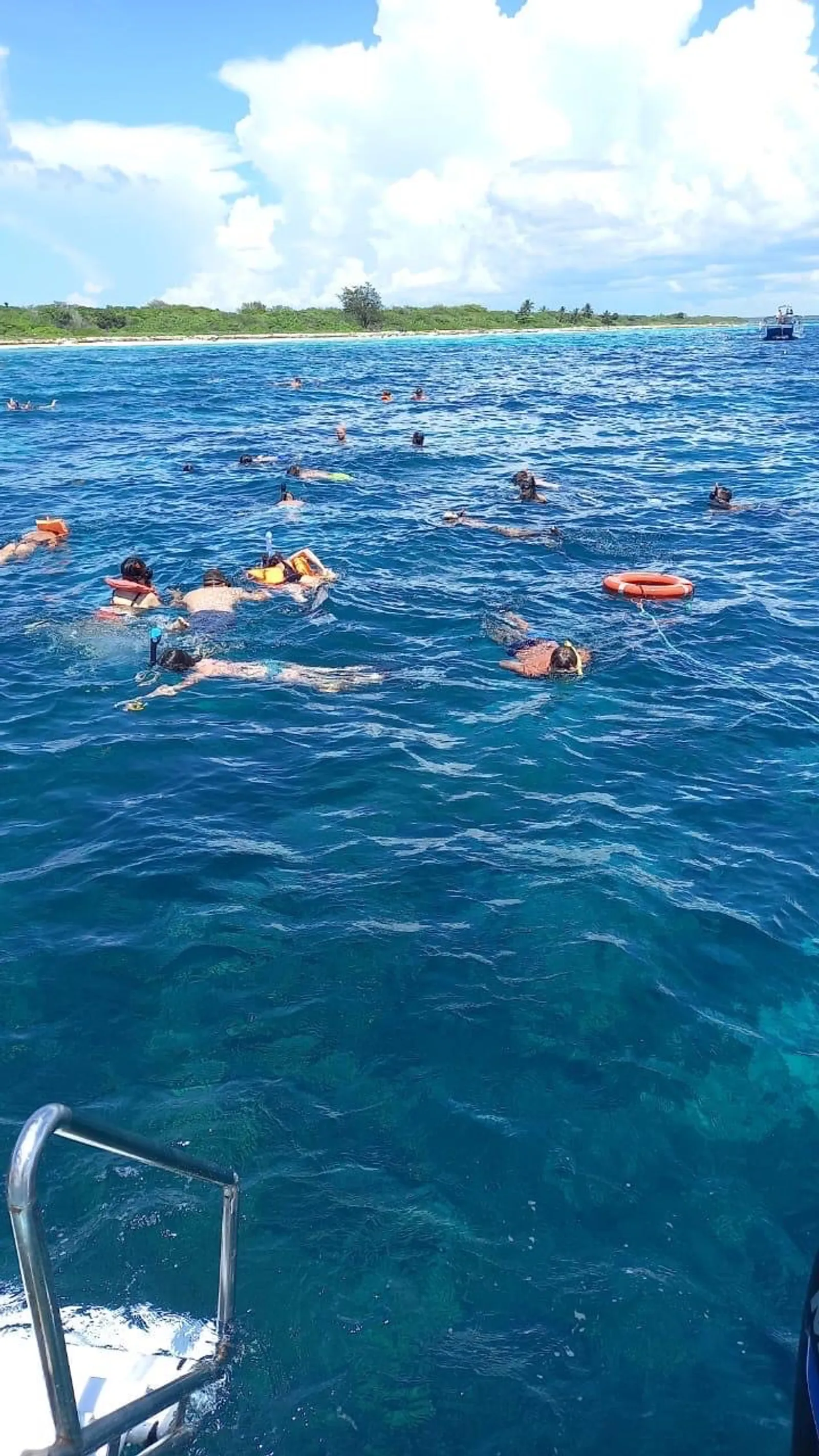 Discover Catalina Island from Bayahibe, image 13 of 16