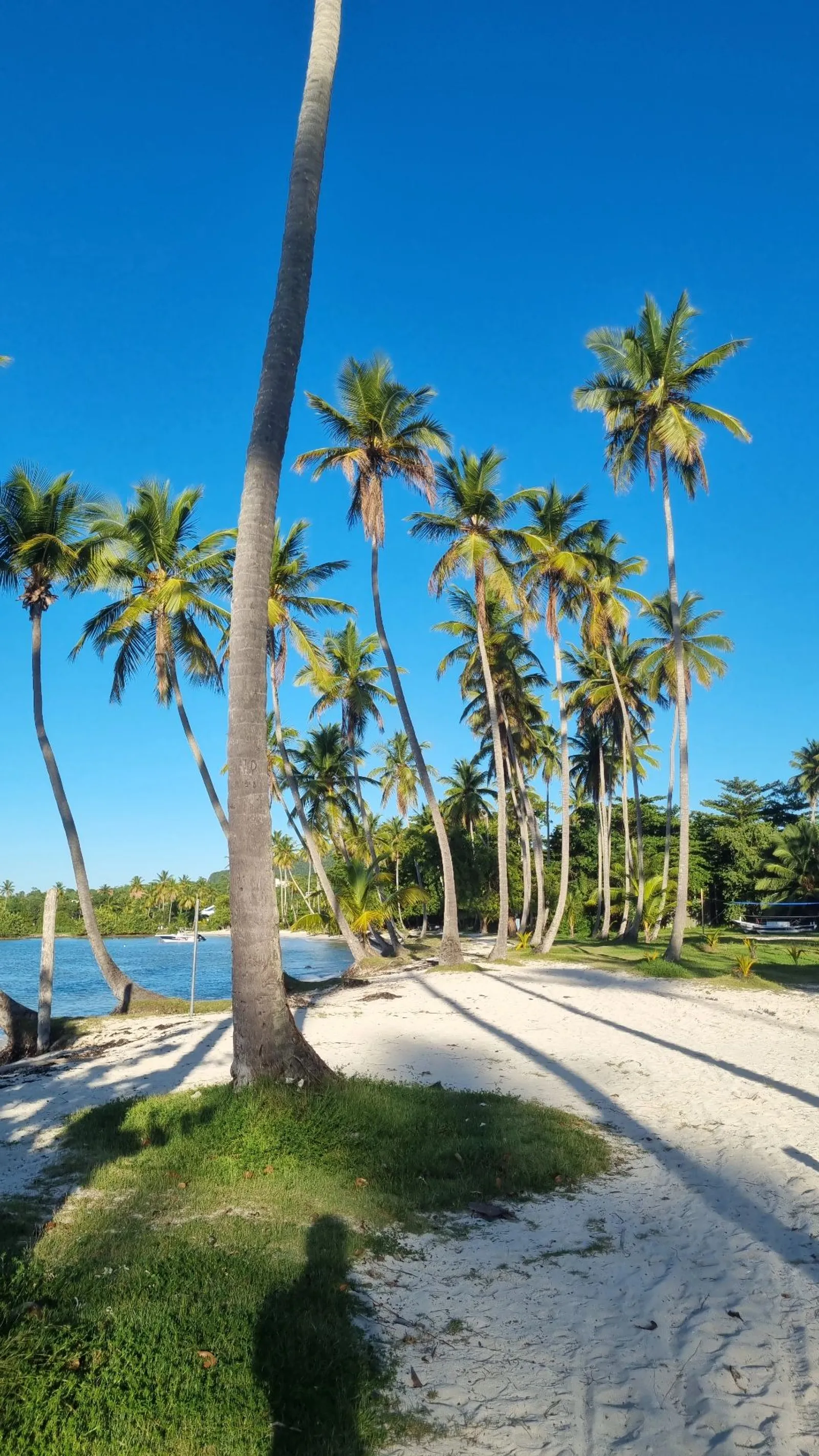 Excursión a playa Frontón, Madama y Aserradero, imagen 7 de 15