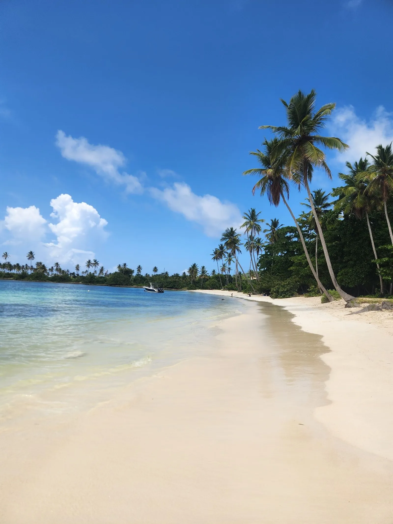 Explore Playa Frontón, Playa Madama, and La Playita in an unforgettable experience, image 5 of 11
