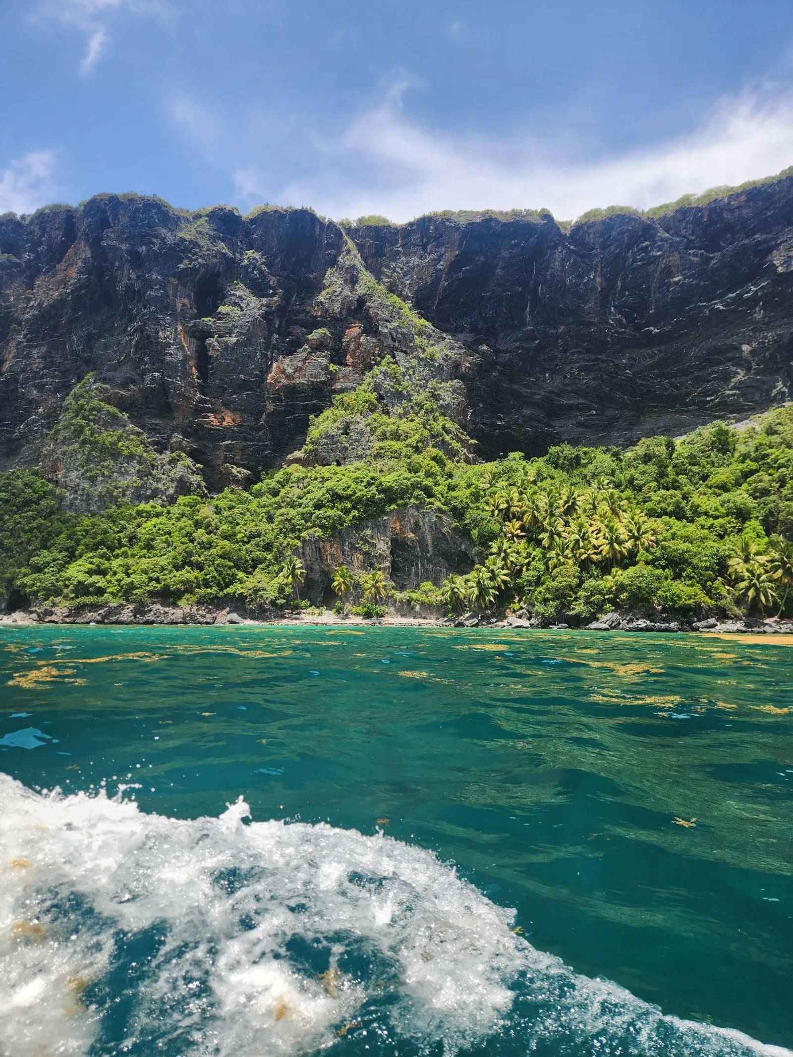 Explore Playa Frontón, Playa Madama, and La Playita in an unforgettable experience, image 9 of 11