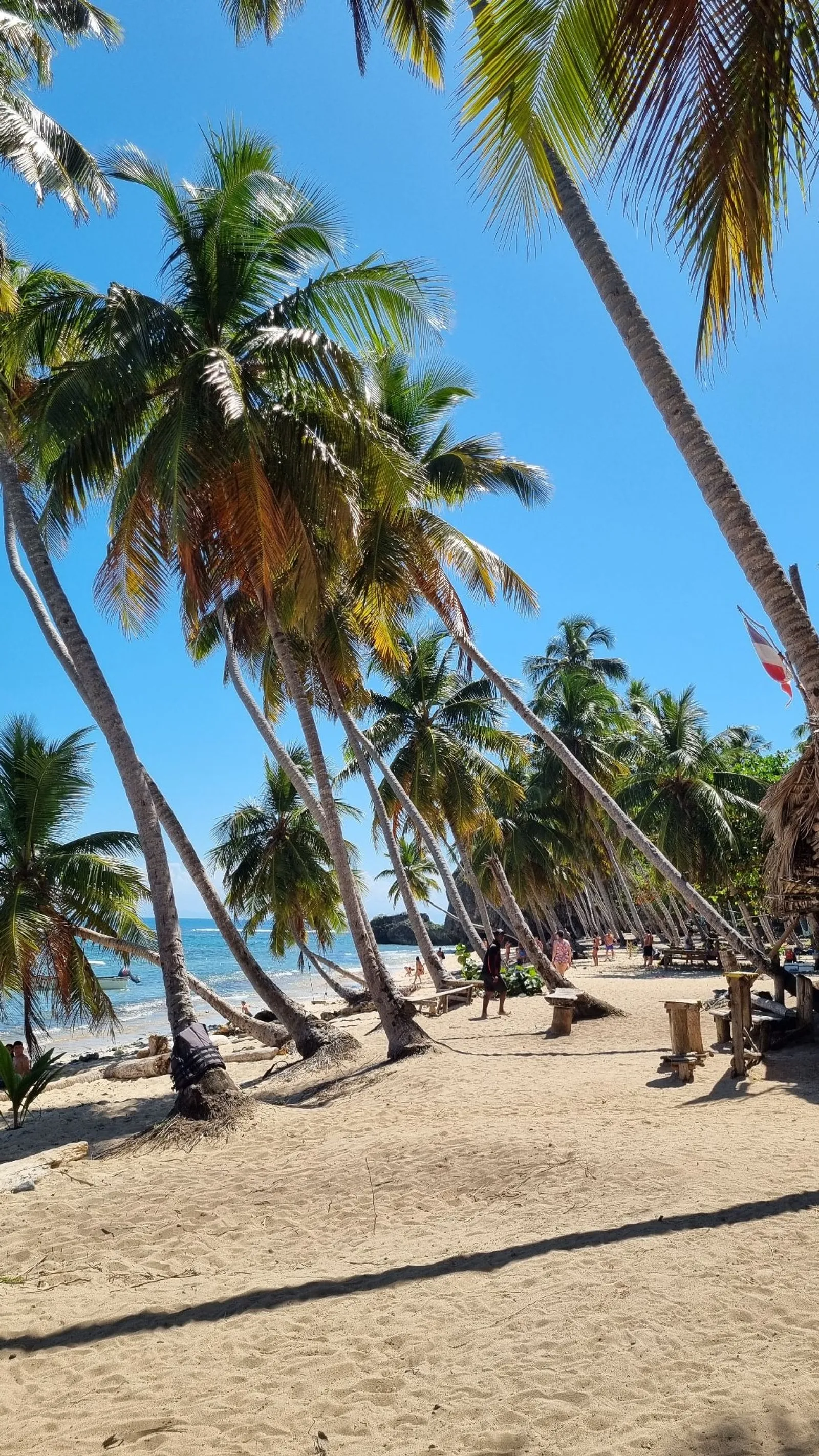 Excursión a playa Frontón, Madama y Aserradero, imagen 4 de 15