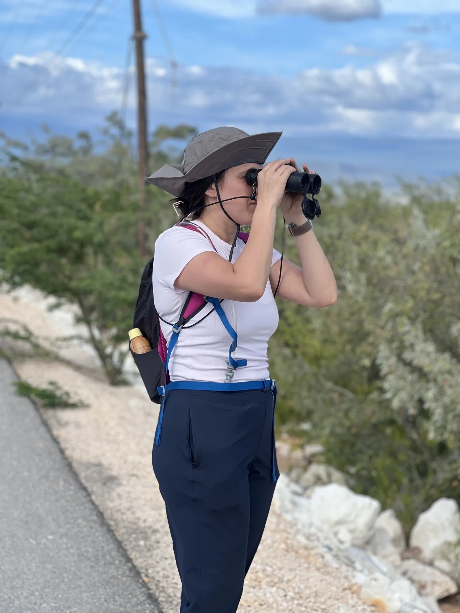 Birdwatching in the Dominican Republic: A Unique Nature Experience, image 20 of 39