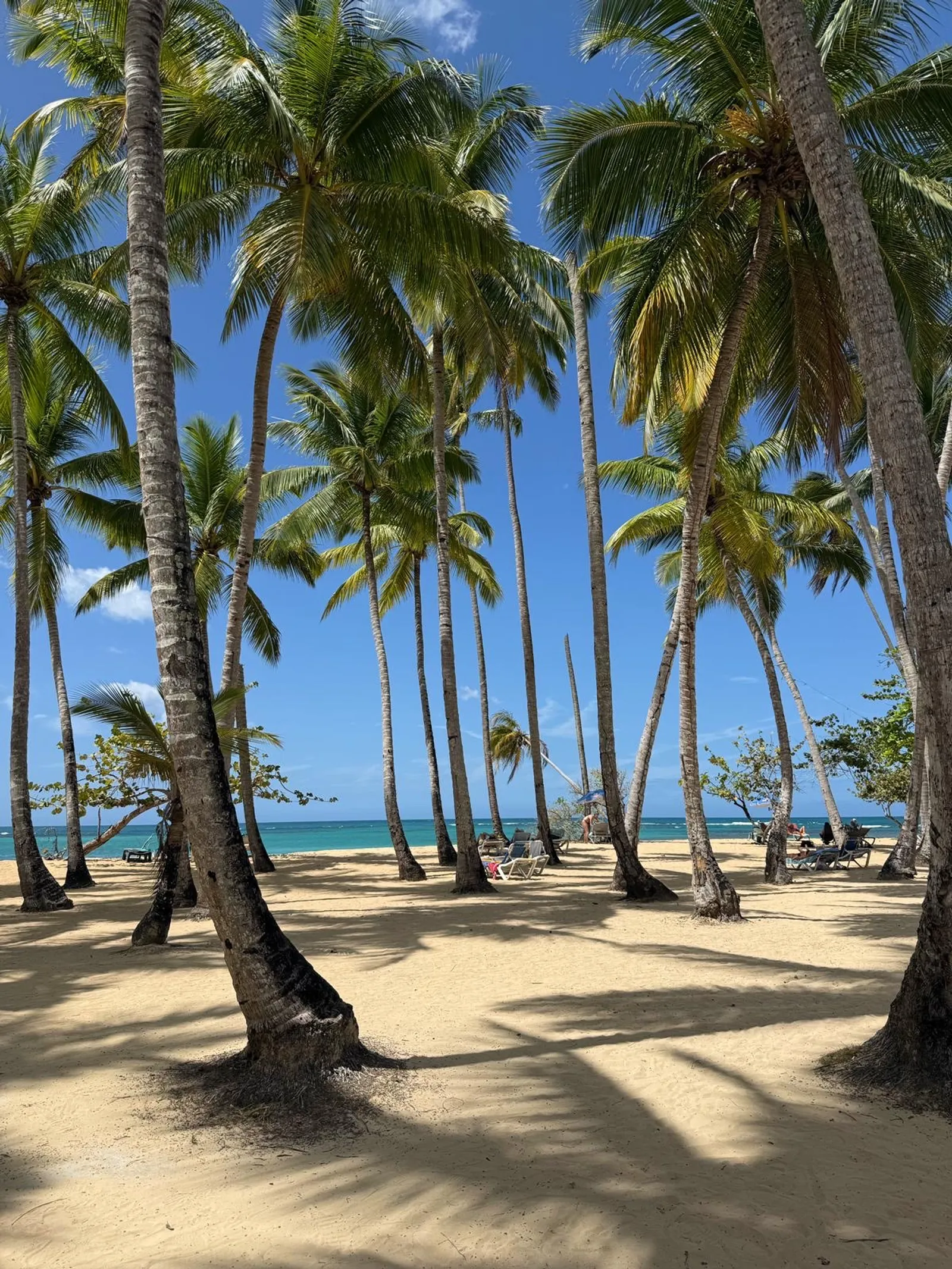 Boat Trip to Playa Frontón and Playa Madama, image 4 of 11