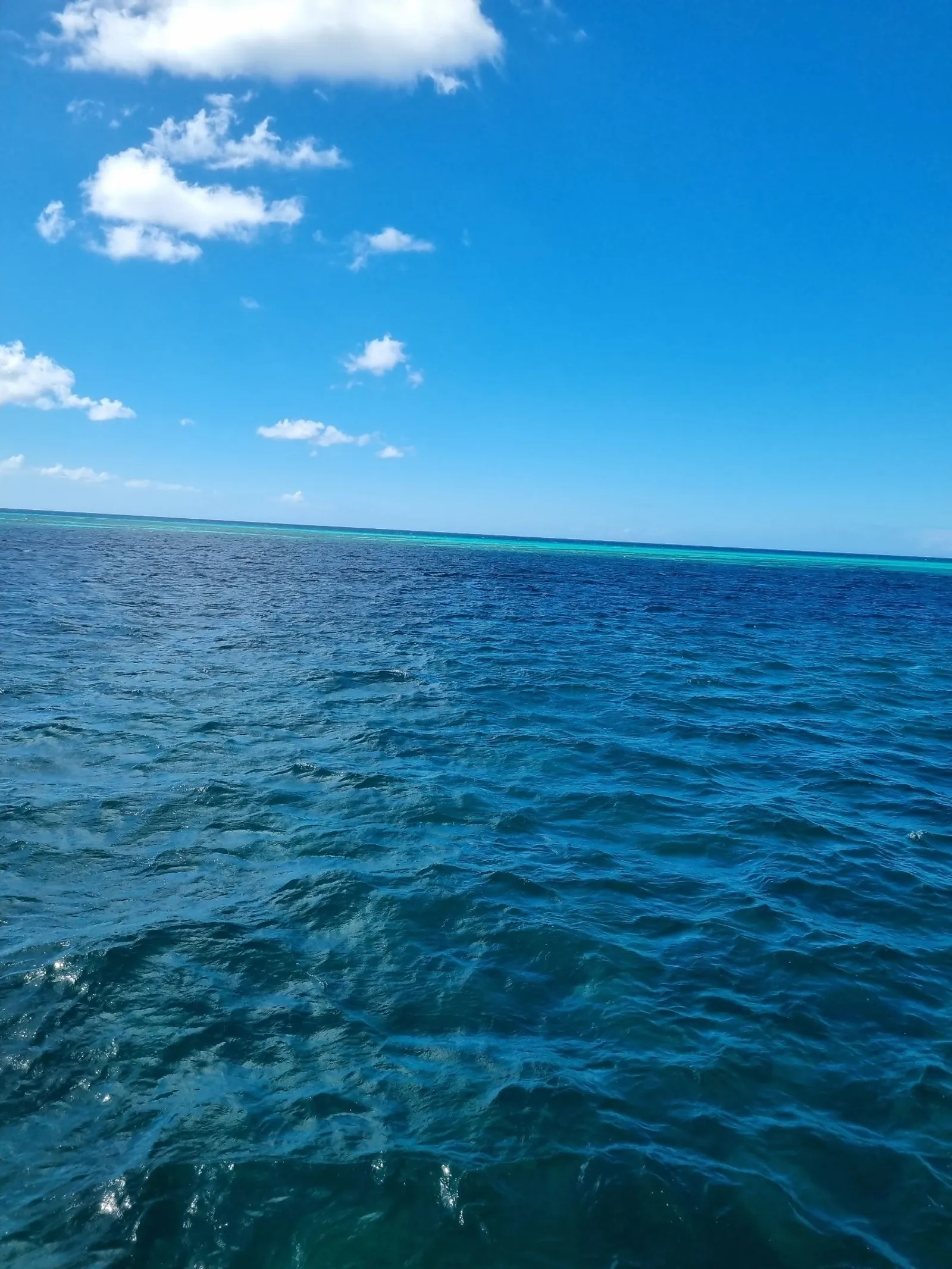 🌴 Rumbo al Paraíso: Isla Saona 🌊SD, imagen 5 de 5