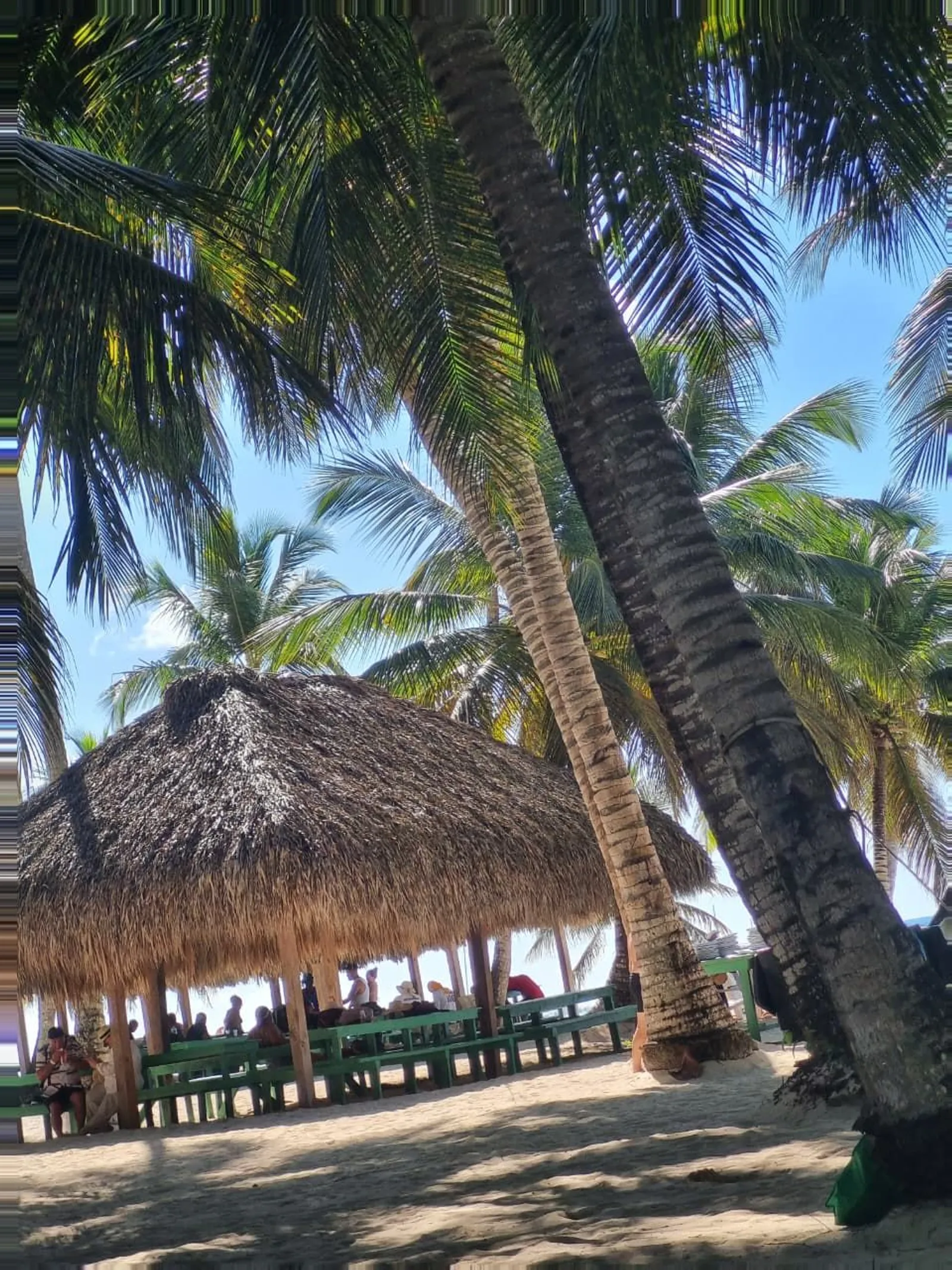 🌴 Rumbo al Paraíso: Isla Saona 🌊SD, imagen 4 de 5