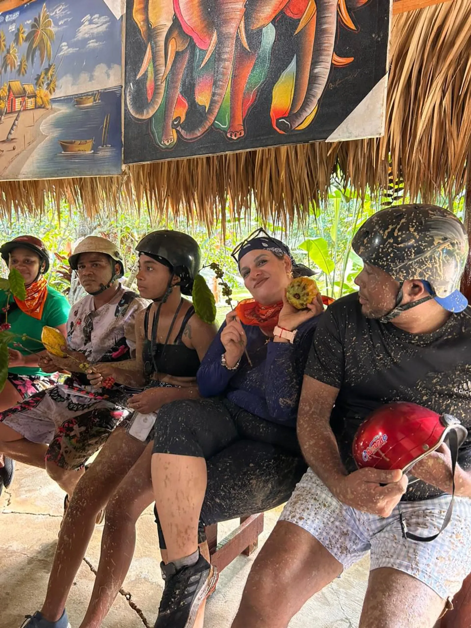 Buggies in Punta Cana, image 3 of 10