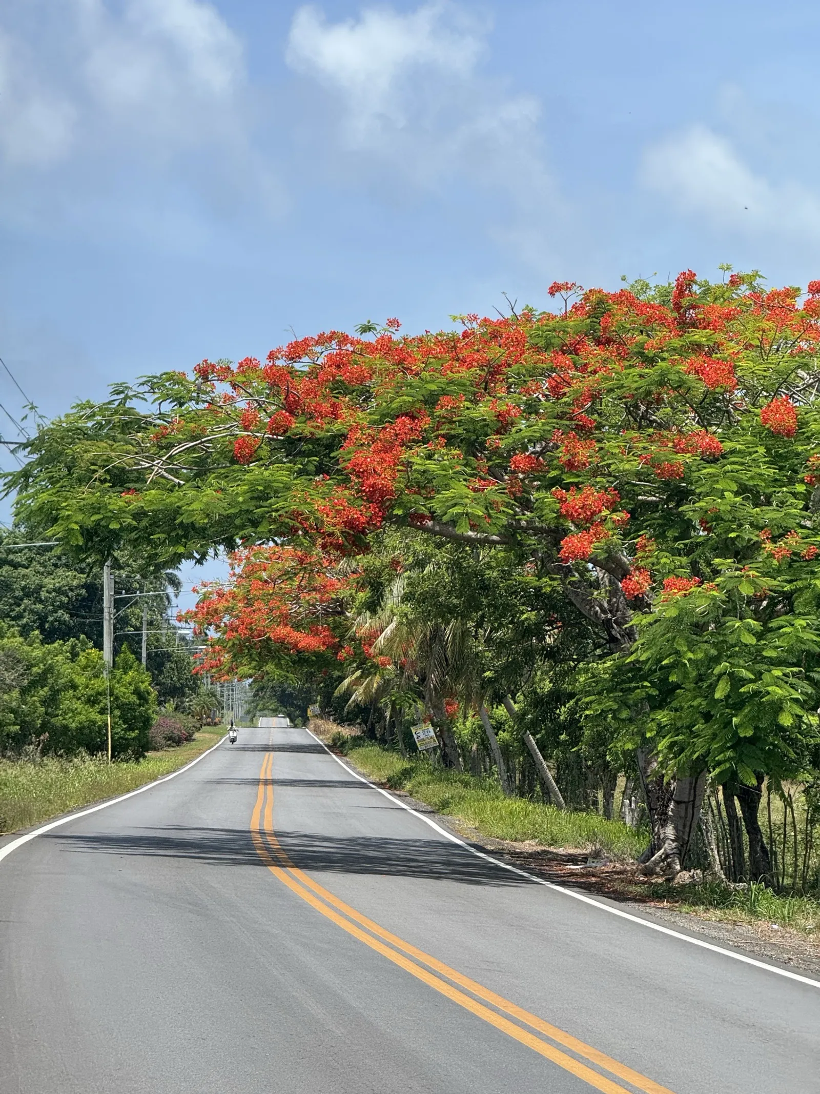 The Charms of Río San Juan, image 5 of 20