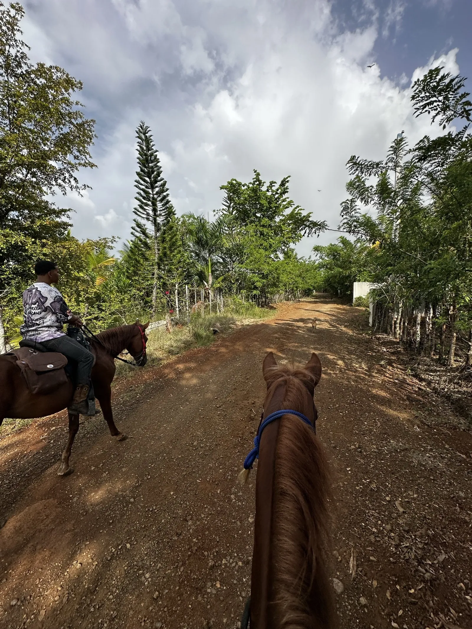 Horseback Riding Getaway in La Cuaba 🐴, image 6 of 7