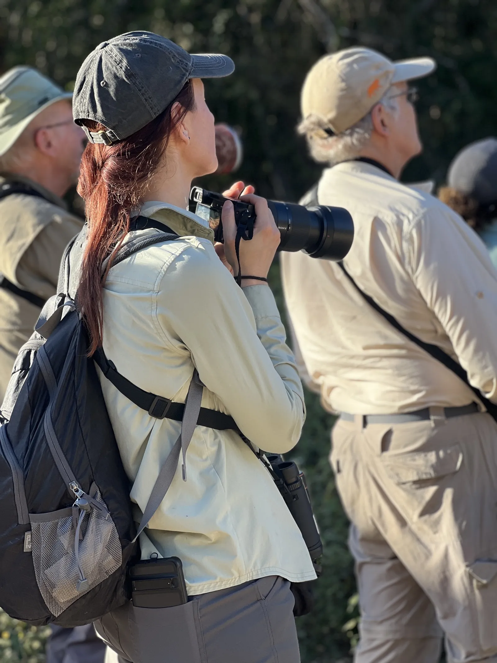 Birdwatching in the Dominican Republic: A Unique Nature Experience, image 29 of 39