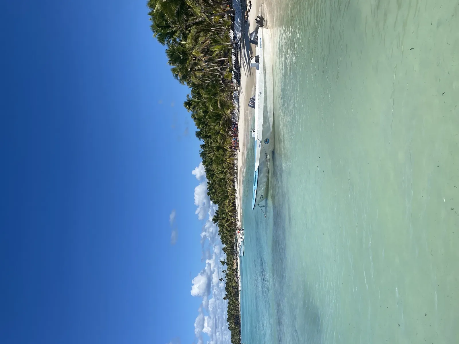 Saona Island Excursion, image 3 of 3