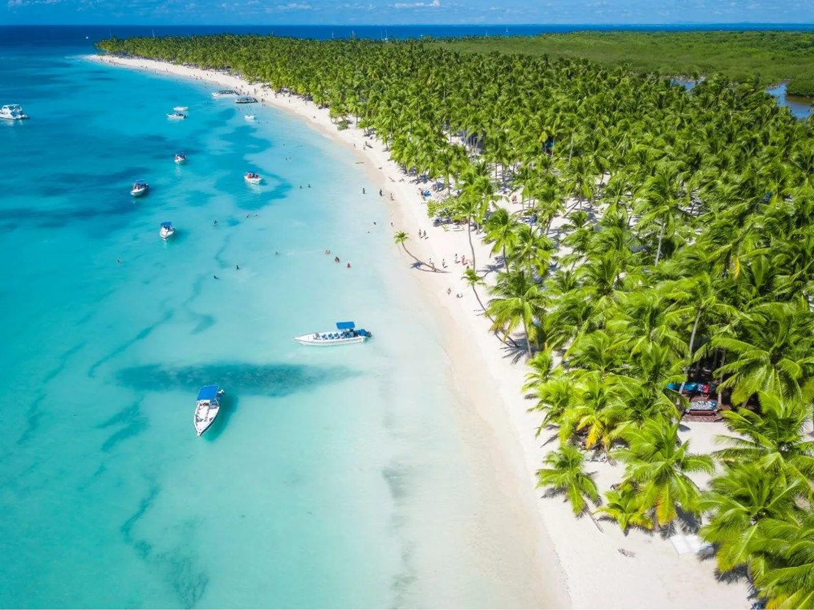 🌴 Rumbo al Paraíso: Isla Saona 🌊SD, imagen 3 de 5