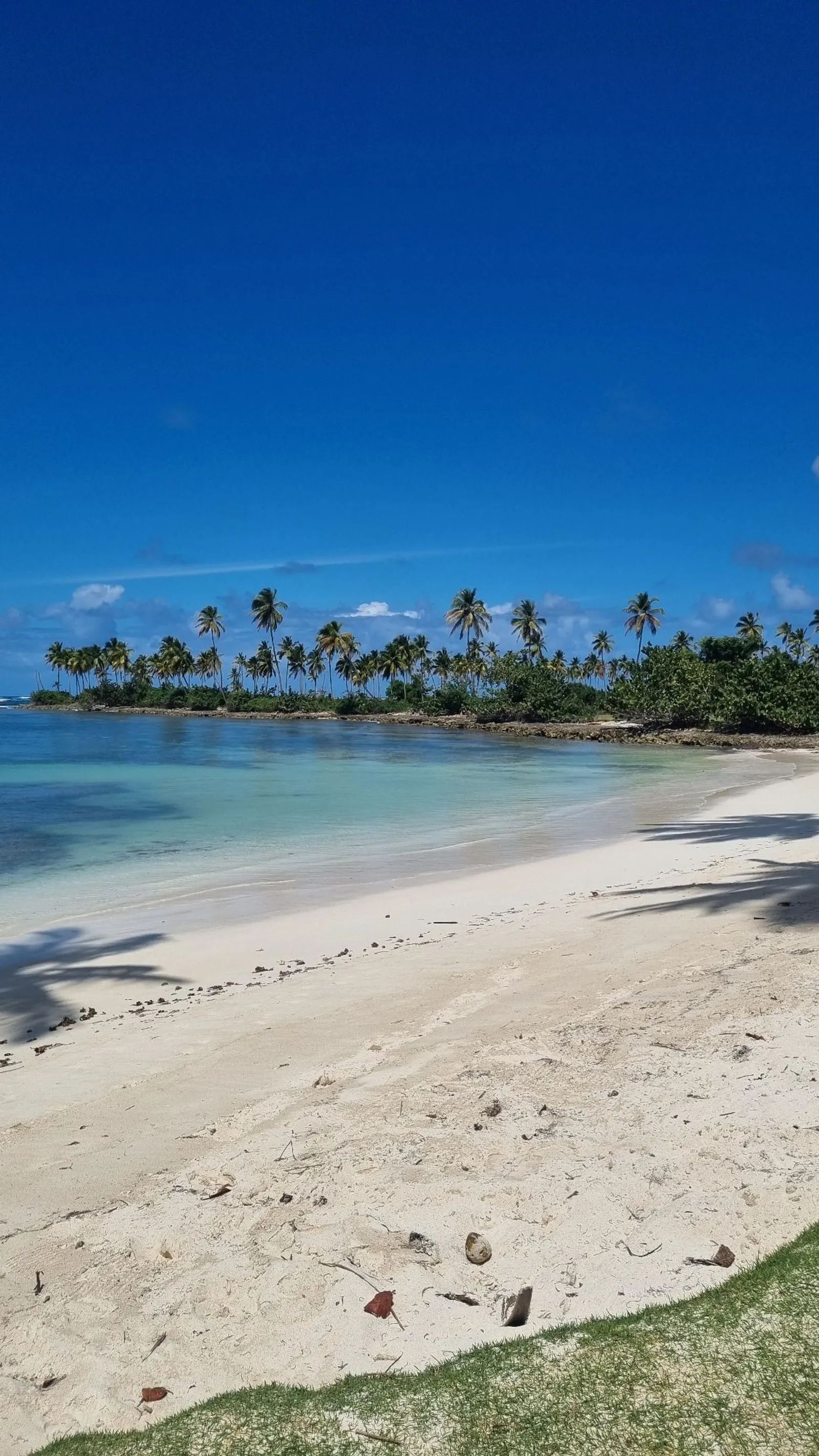 Excursión a playa Frontón, Madama y Aserradero, imagen 11 de 15