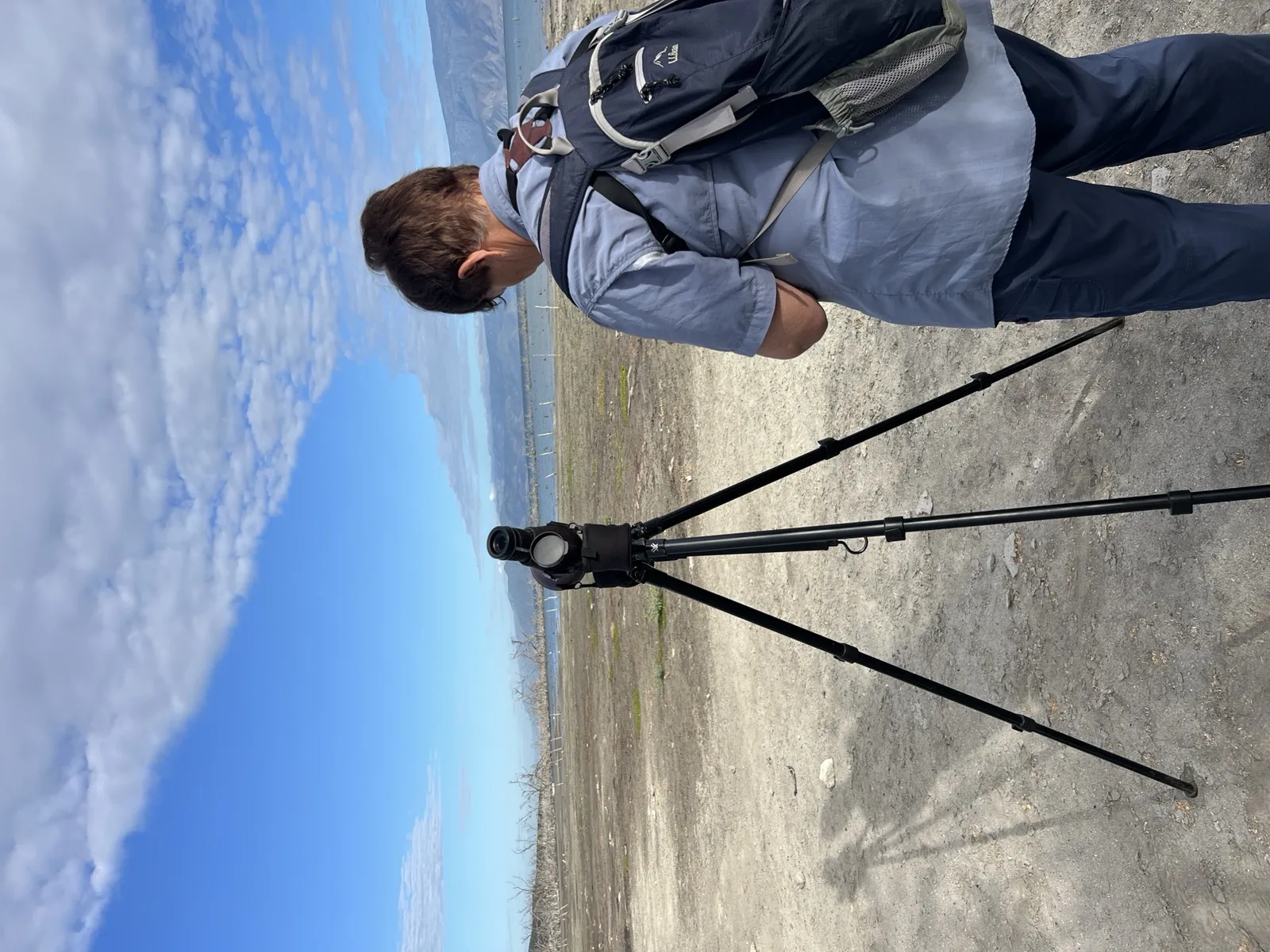 Birdwatching in the Dominican Republic: A Unique Nature Experience, image 11 of 39