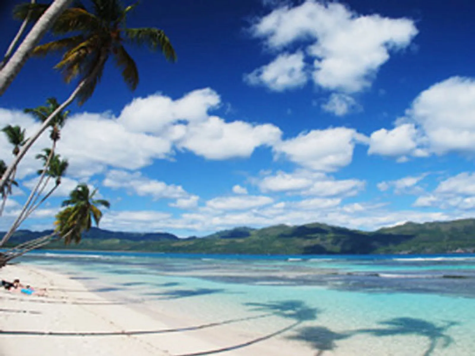 Discover 3 beaches in Samaná, image 3 of 7