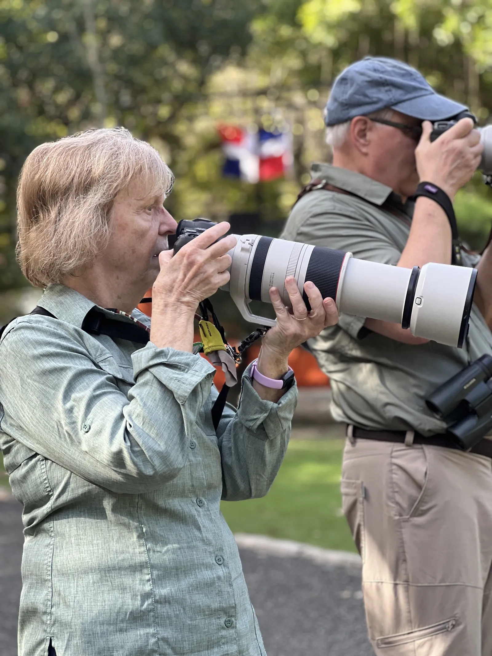 Birdwatching in the Dominican Republic: A Unique Nature Experience, image 23 of 39