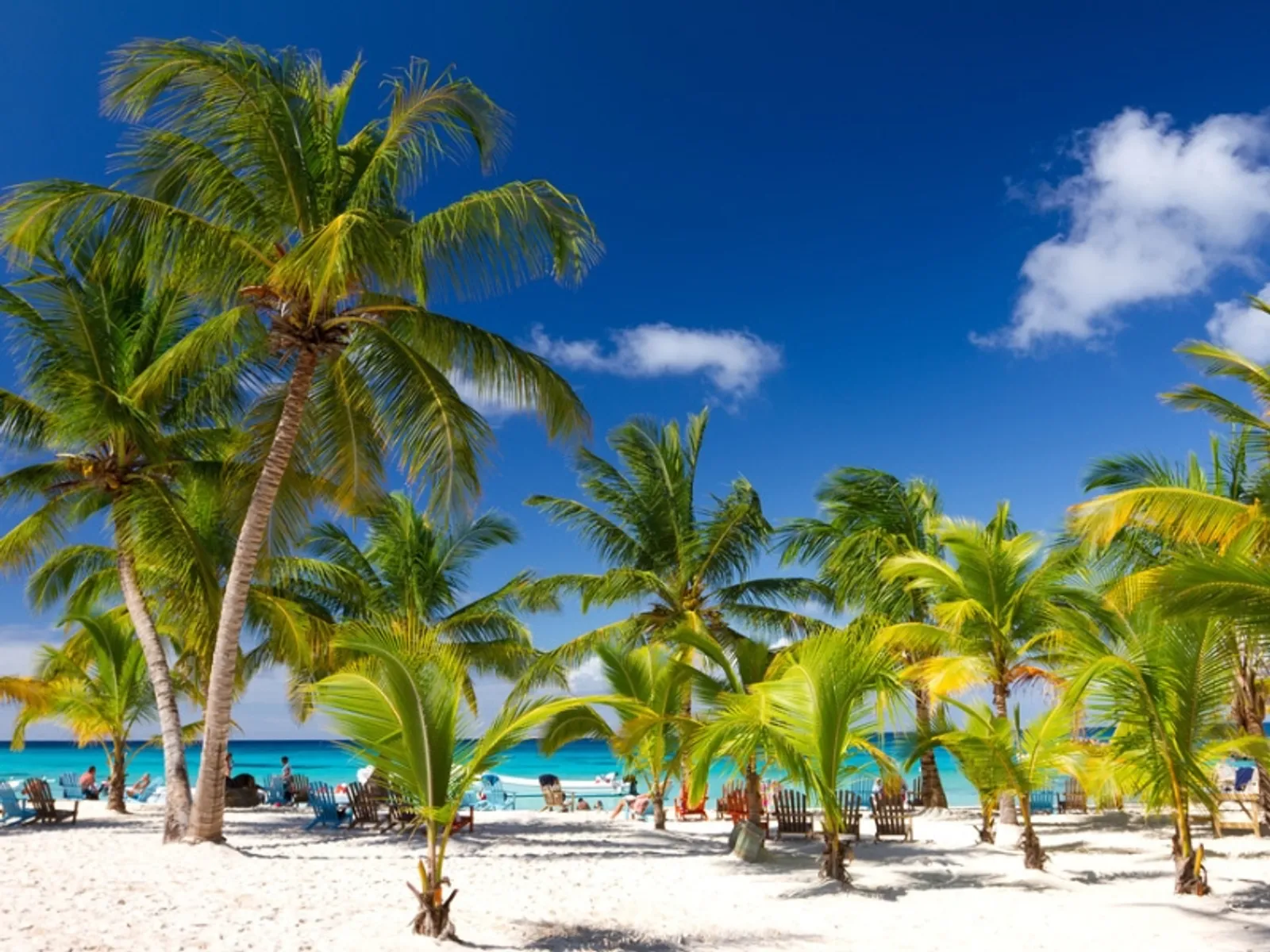 Saona Island, image 13 of 14