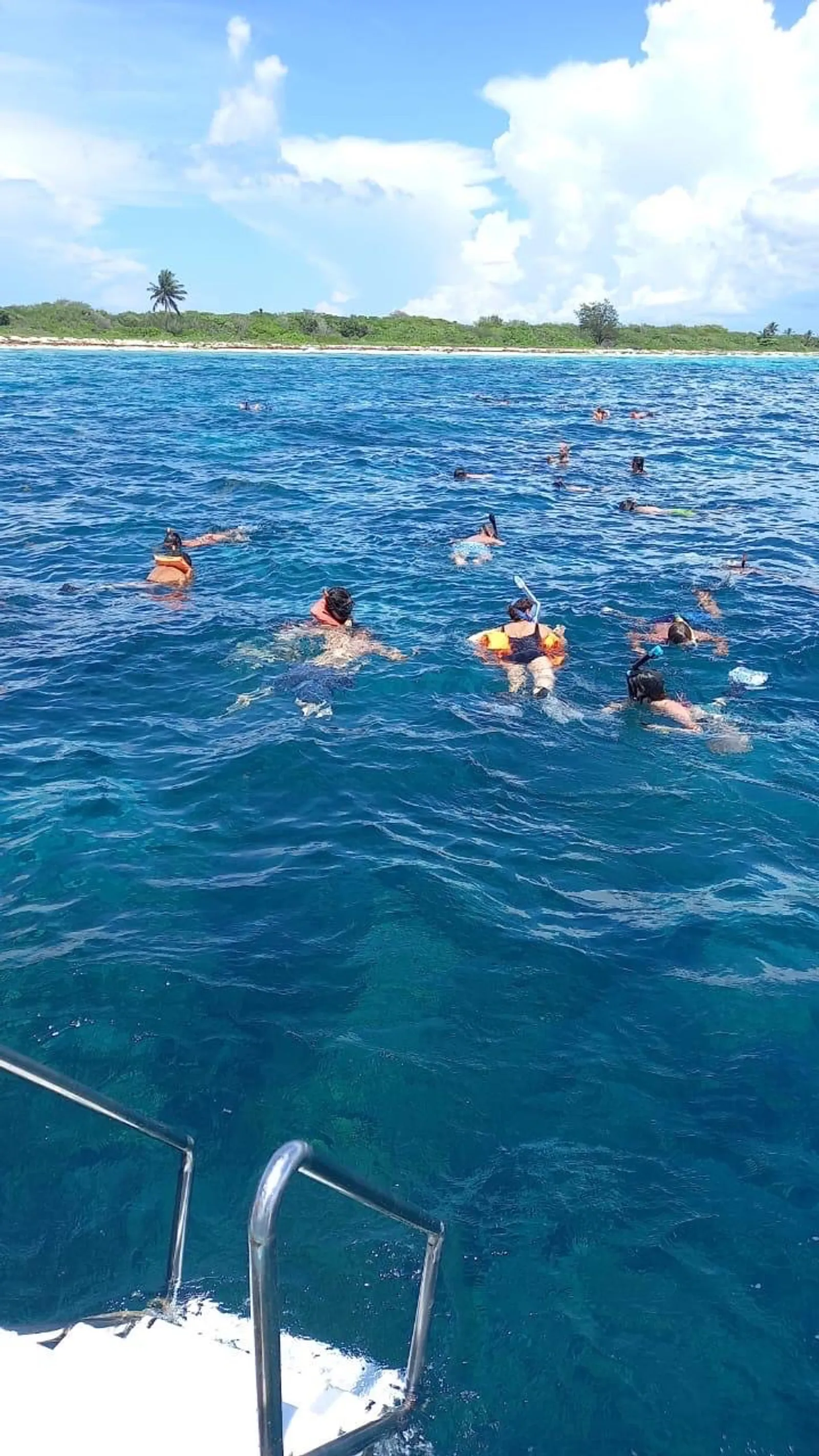 Discover Catalina Island from Bayahibe, image 7 of 16