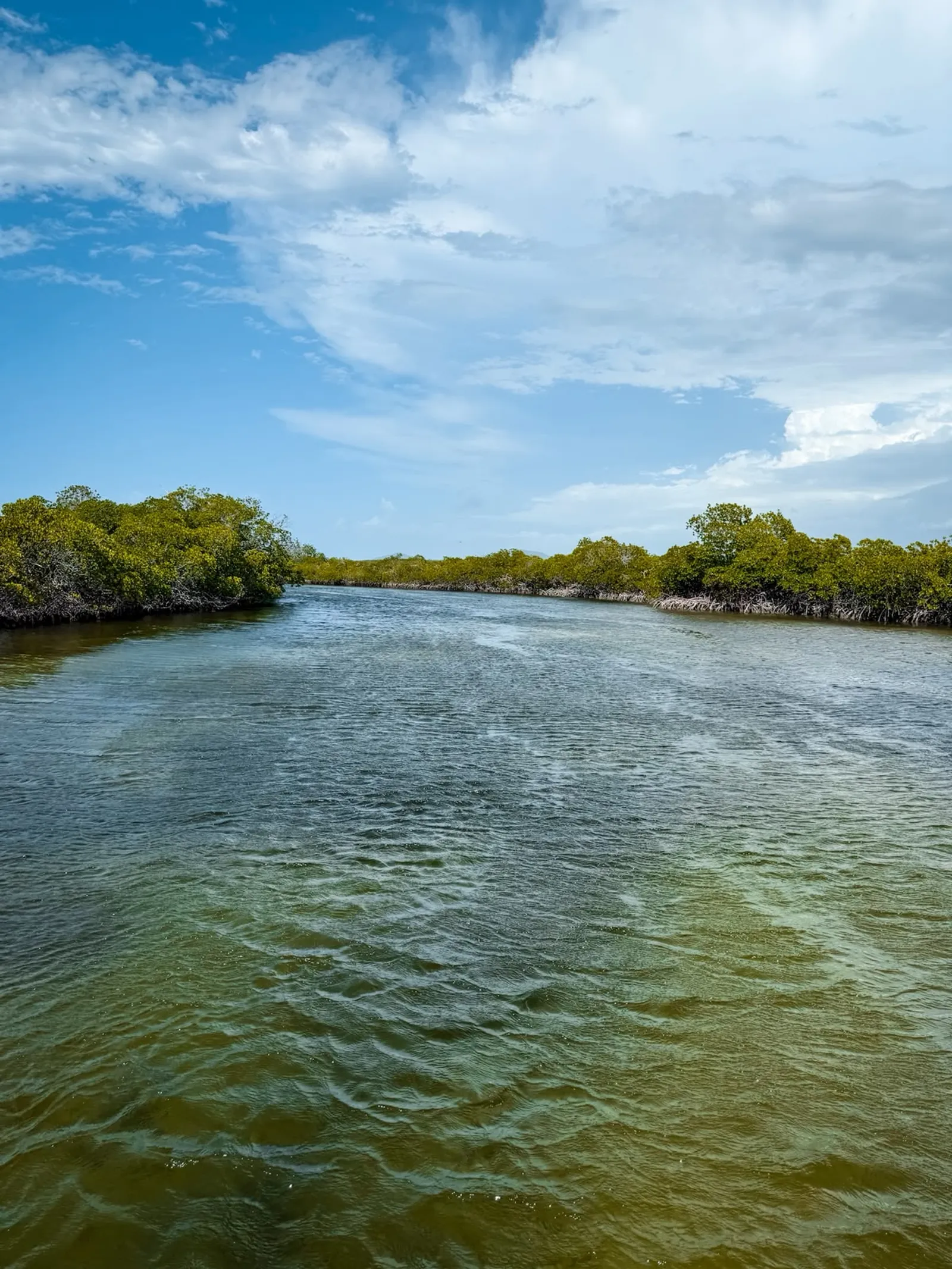 Ecotourism Adventure in Montecristi: Mangroves, Grand Grossier, and Isla Cabra, image 4 of 5