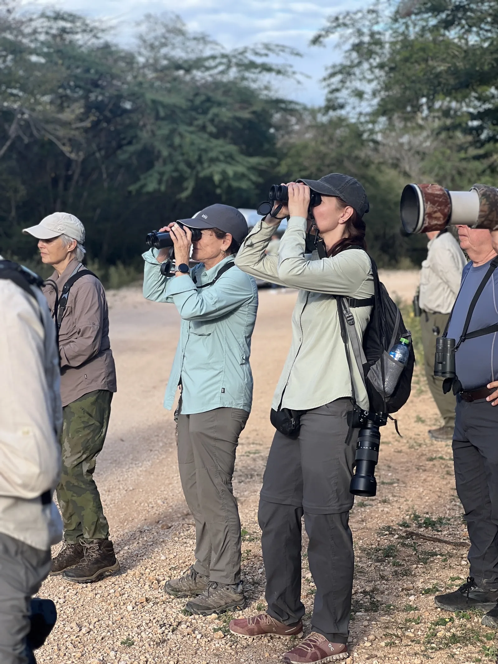 Birdwatching in the Dominican Republic: A Unique Nature Experience, image 30 of 39