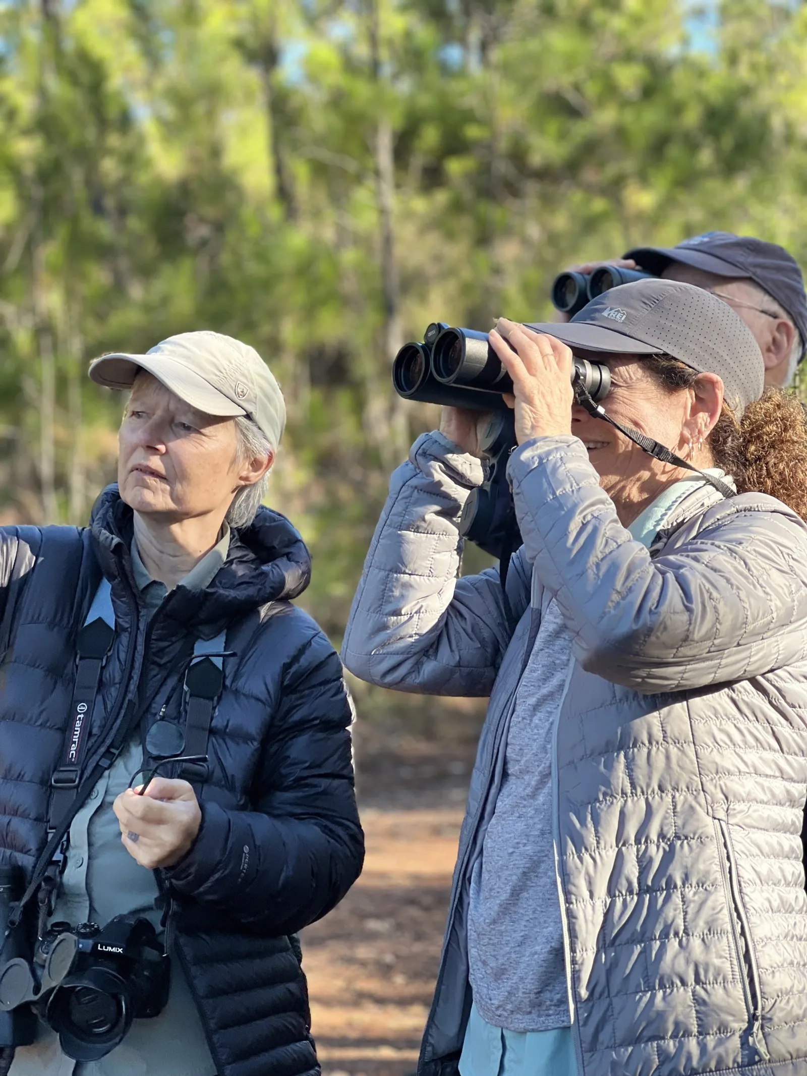 Birdwatching in the Dominican Republic: A Unique Nature Experience, image 35 of 39