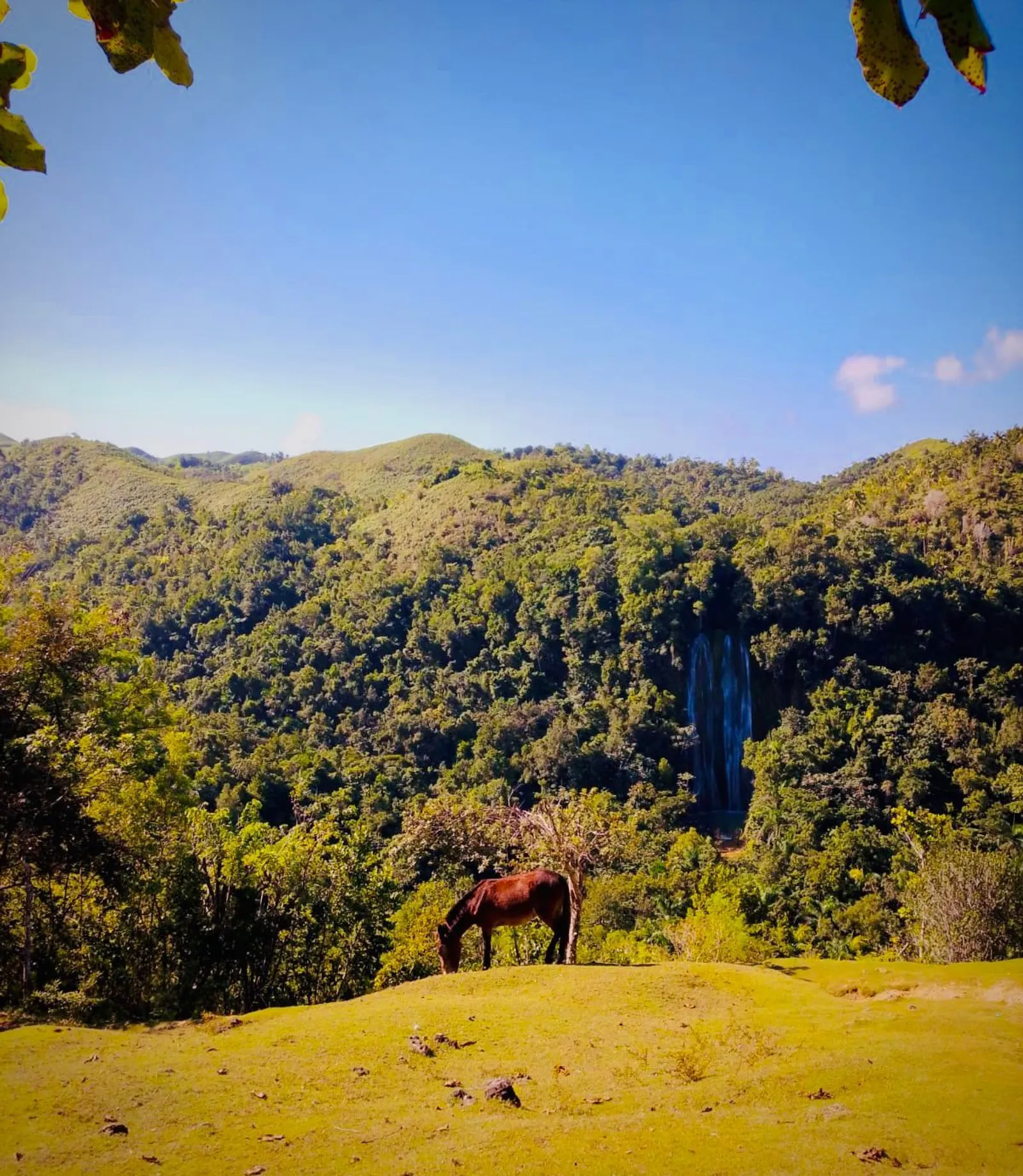 El Limón Waterfall plus Cayo Levantado Island, image 5 of 8