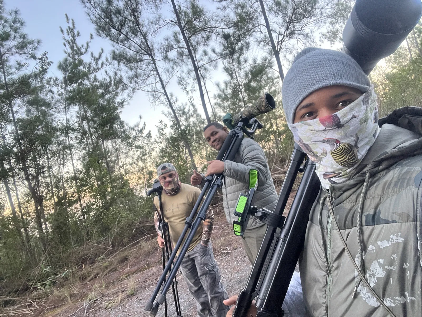 Birdwatching in the Dominican Republic: A Unique Nature Experience, image 37 of 39