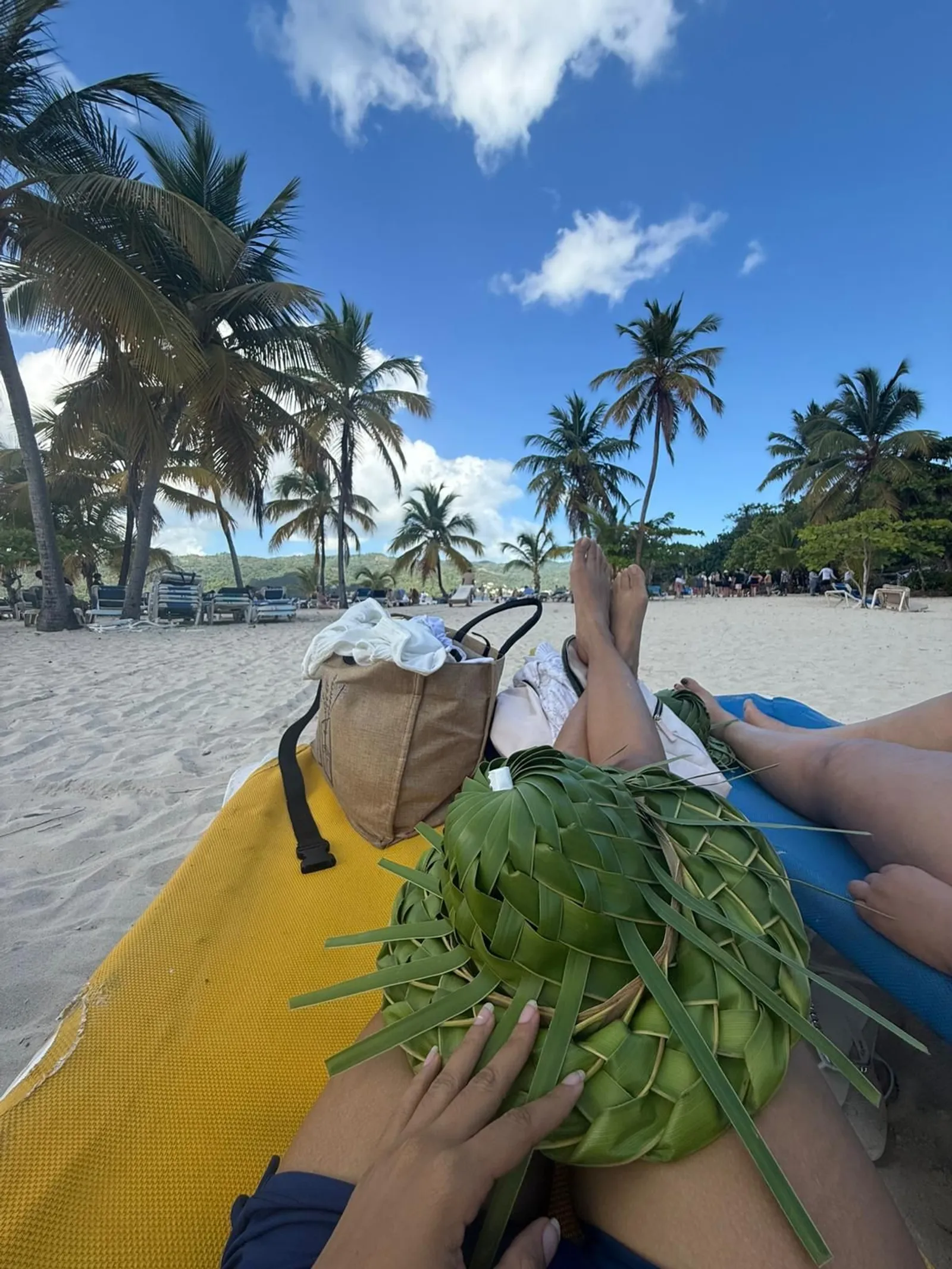 Los Haitises Park and Cayo Levantado in Samaná, image 9 of 12