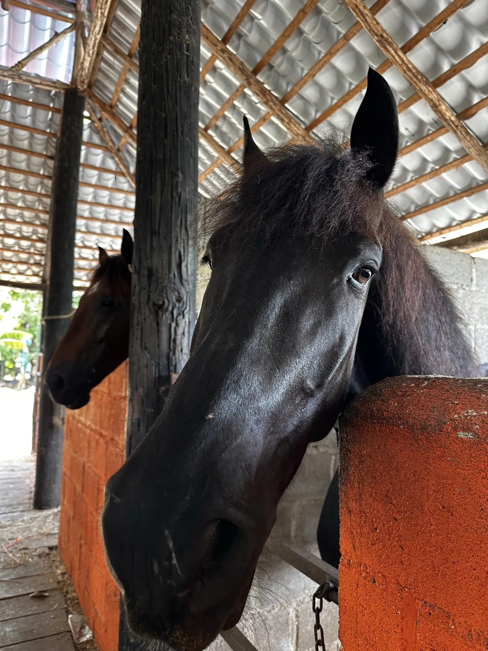 Horseback Riding Getaway in La Cuaba 🐴, image 7 of 7