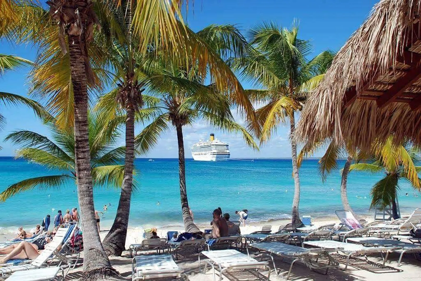 Isla Catalina, image 10 of 11