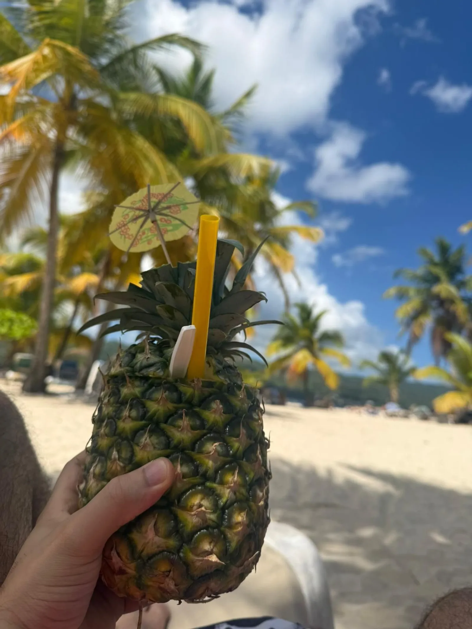🌴 Cayo Levantado: Escape al Paraíso, imagen 6 de 6