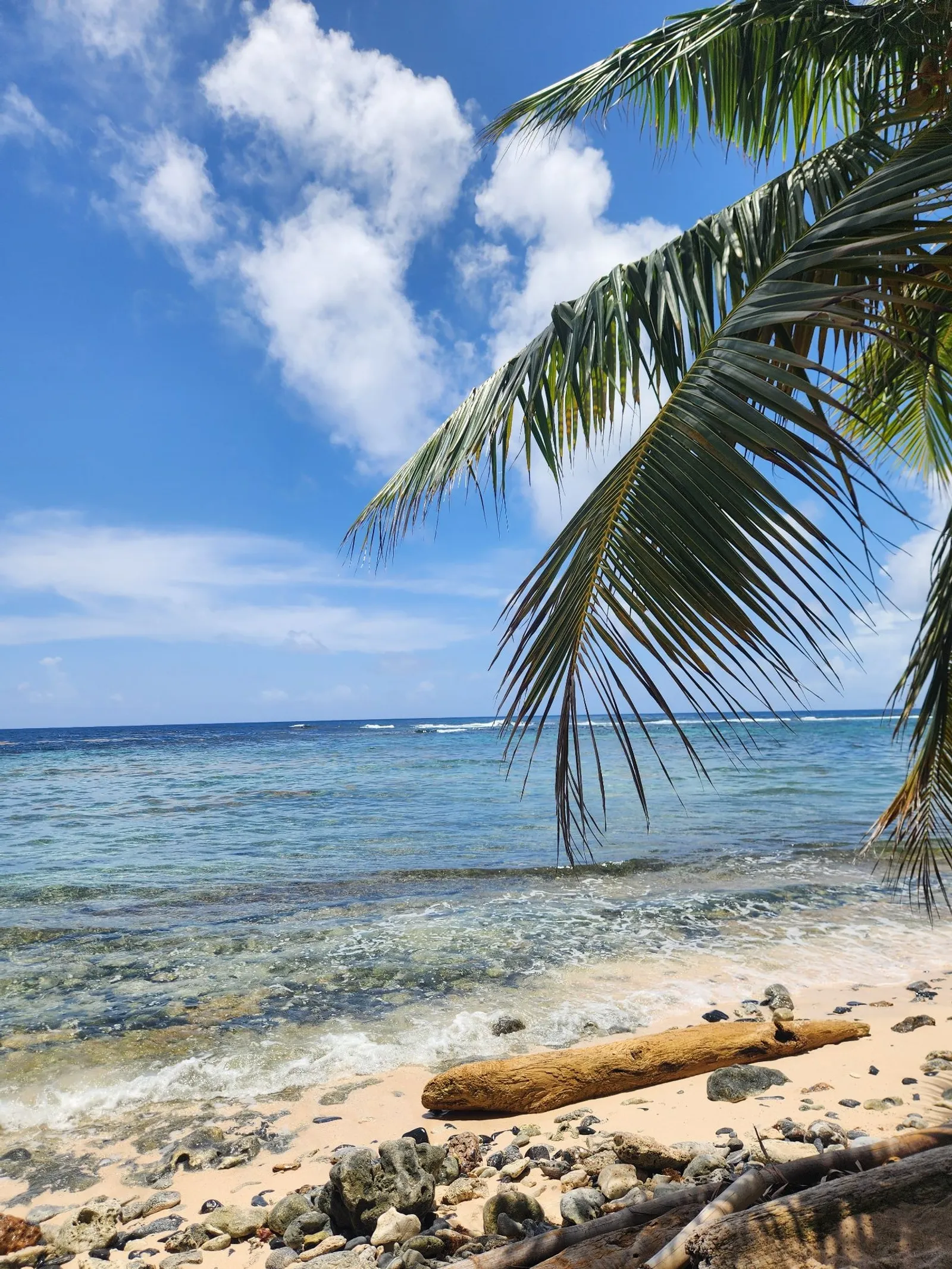 Explore Playa Frontón, Playa Madama, and La Playita in an unforgettable experience, image 3 of 11