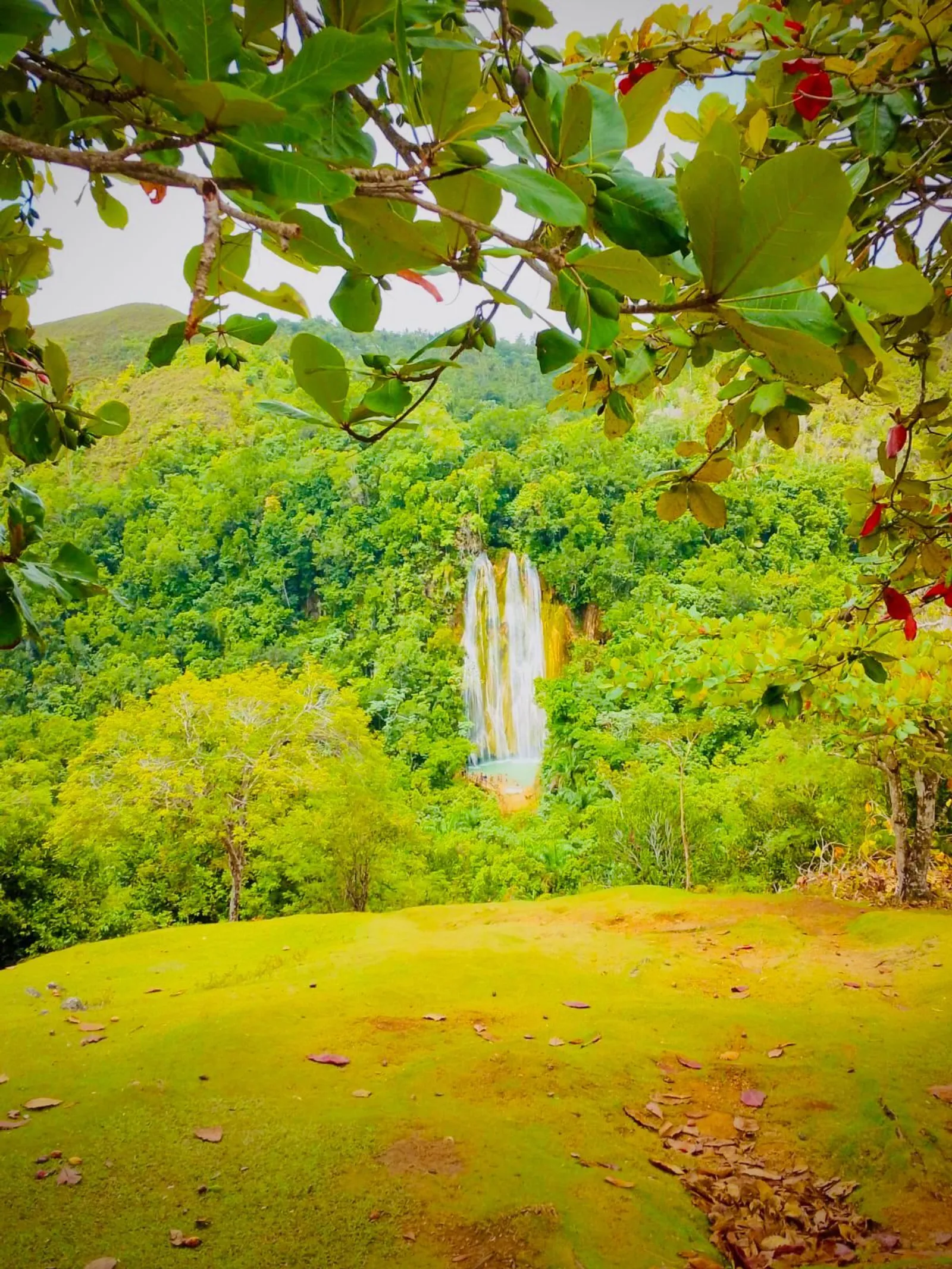 El Limón Waterfall plus Cayo Levantado Island, image 6 of 8