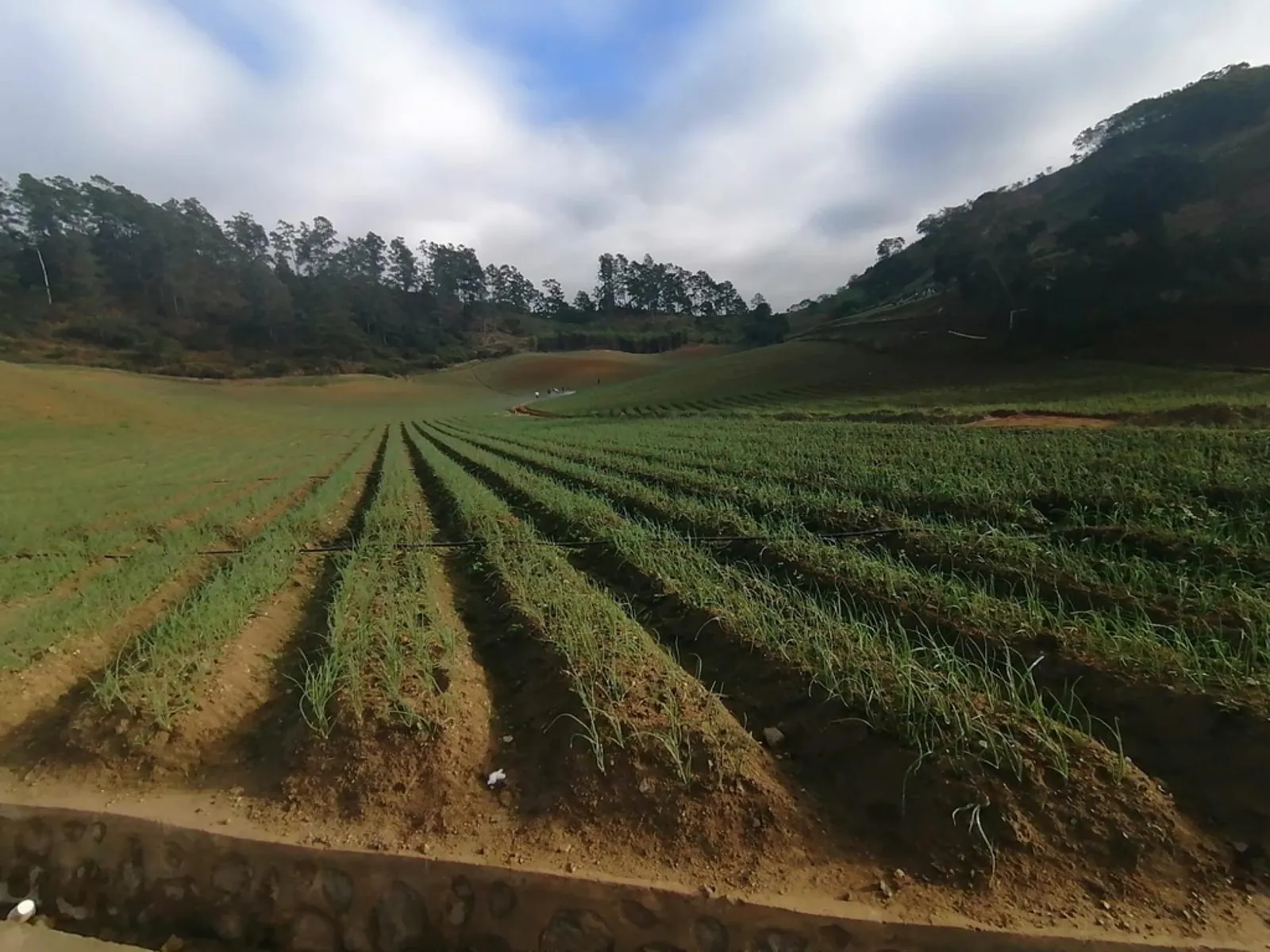 Ruta Agrícola Constanza, imagen 3 de 8
