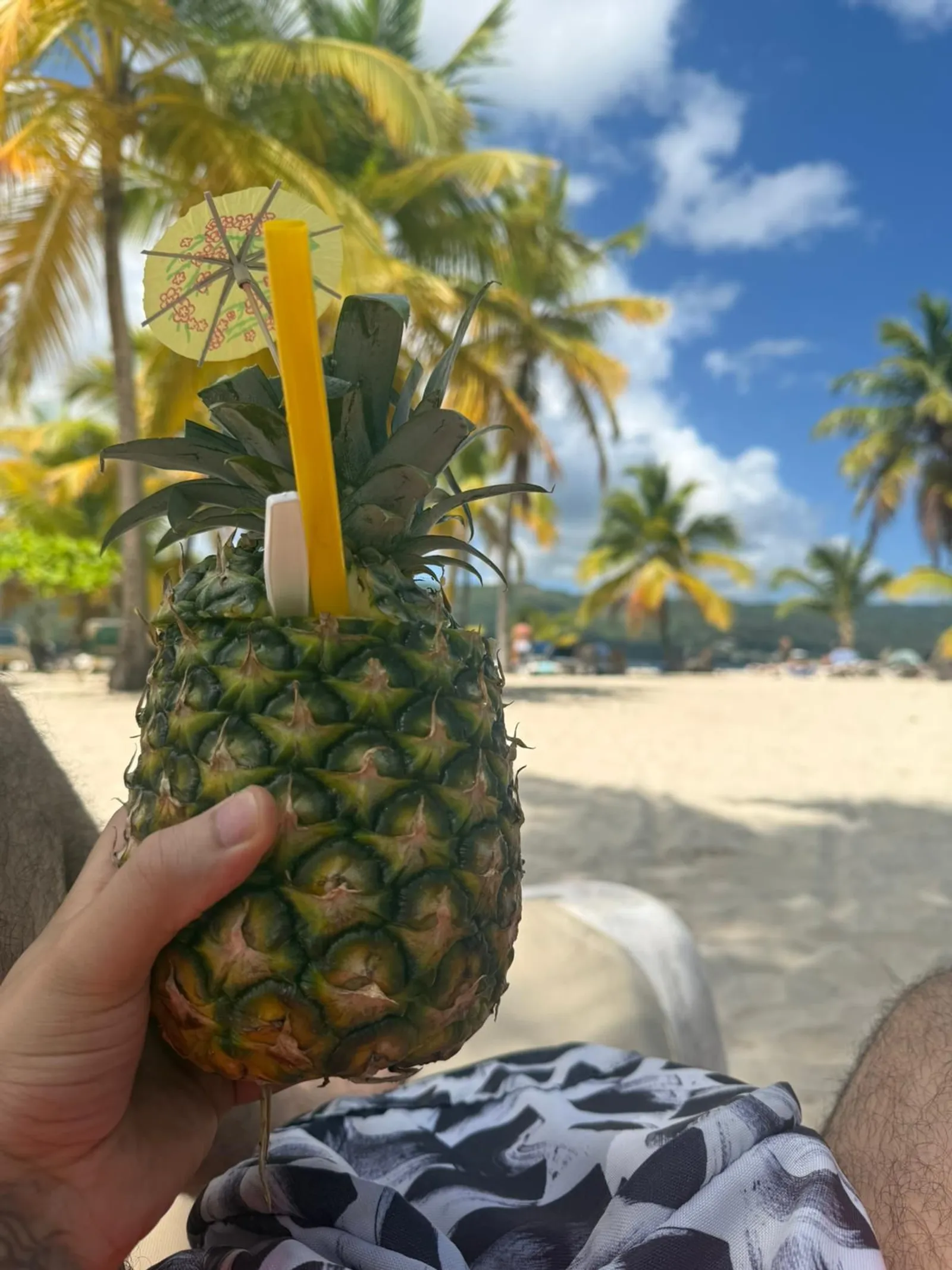 🌴 Cayo Levantado: Escape al Paraíso, imagen 4 de 6
