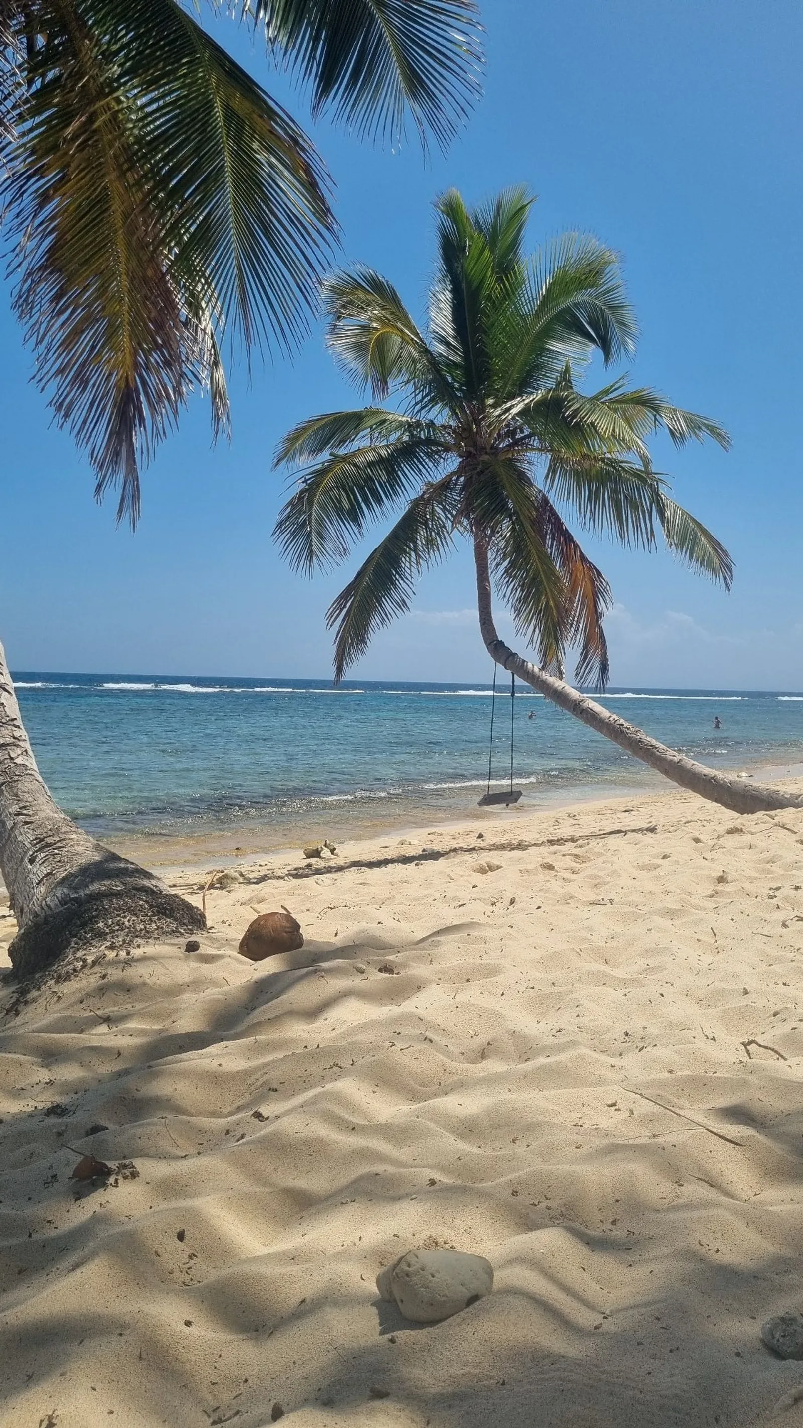 Excursión a playa Frontón, Madama y Aserradero, imagen 10 de 15