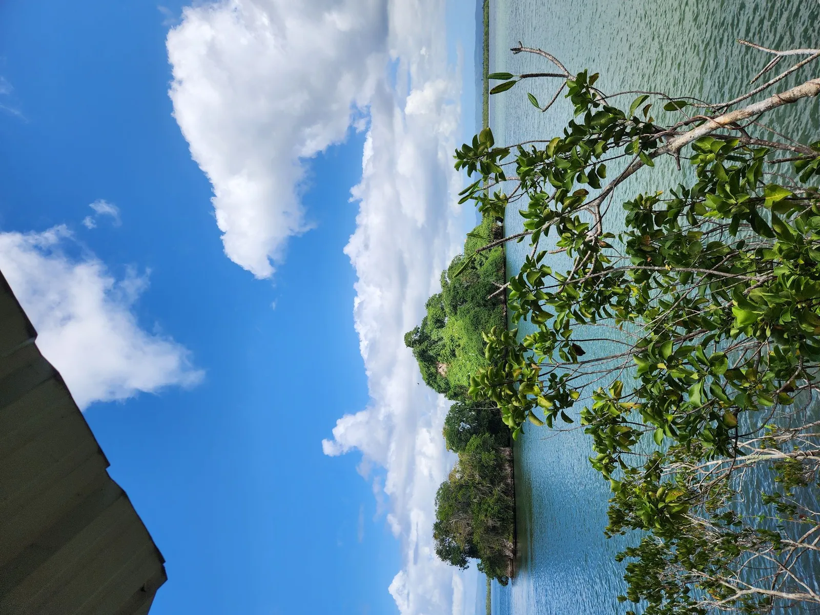 Los Haitises Park and Cayo Levantado in Samaná, image 4 of 12