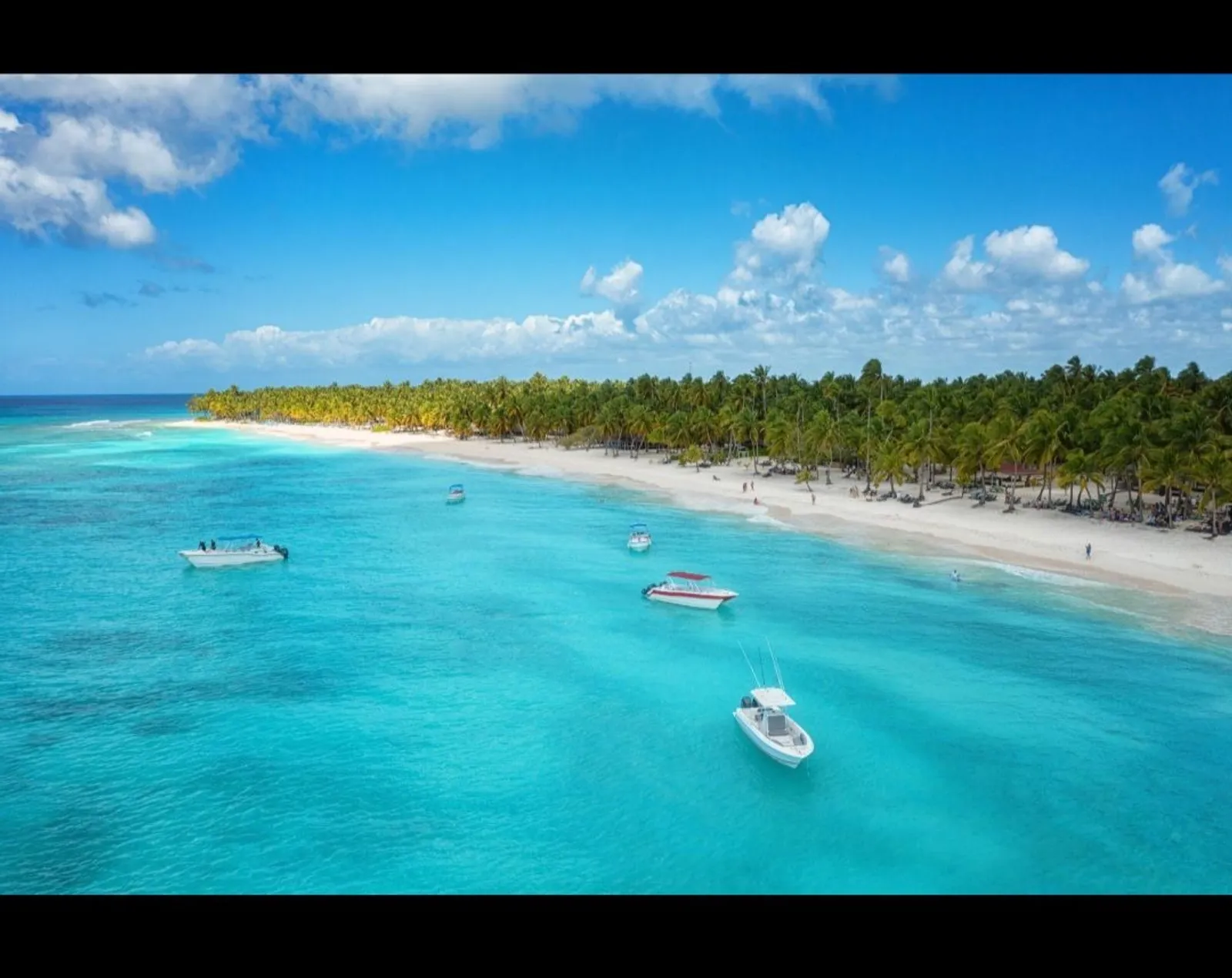 Saona Island Premium, image 3 of 14