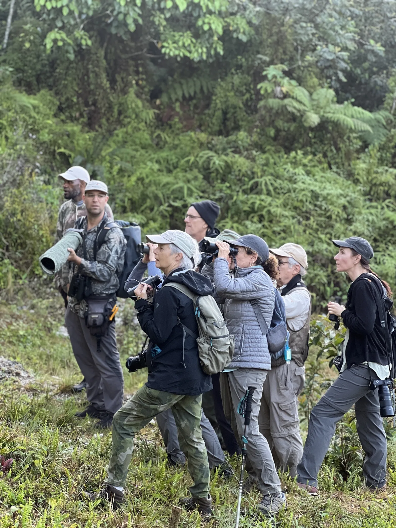 Birdwatching in the Dominican Republic: A Unique Nature Experience, image 31 of 39